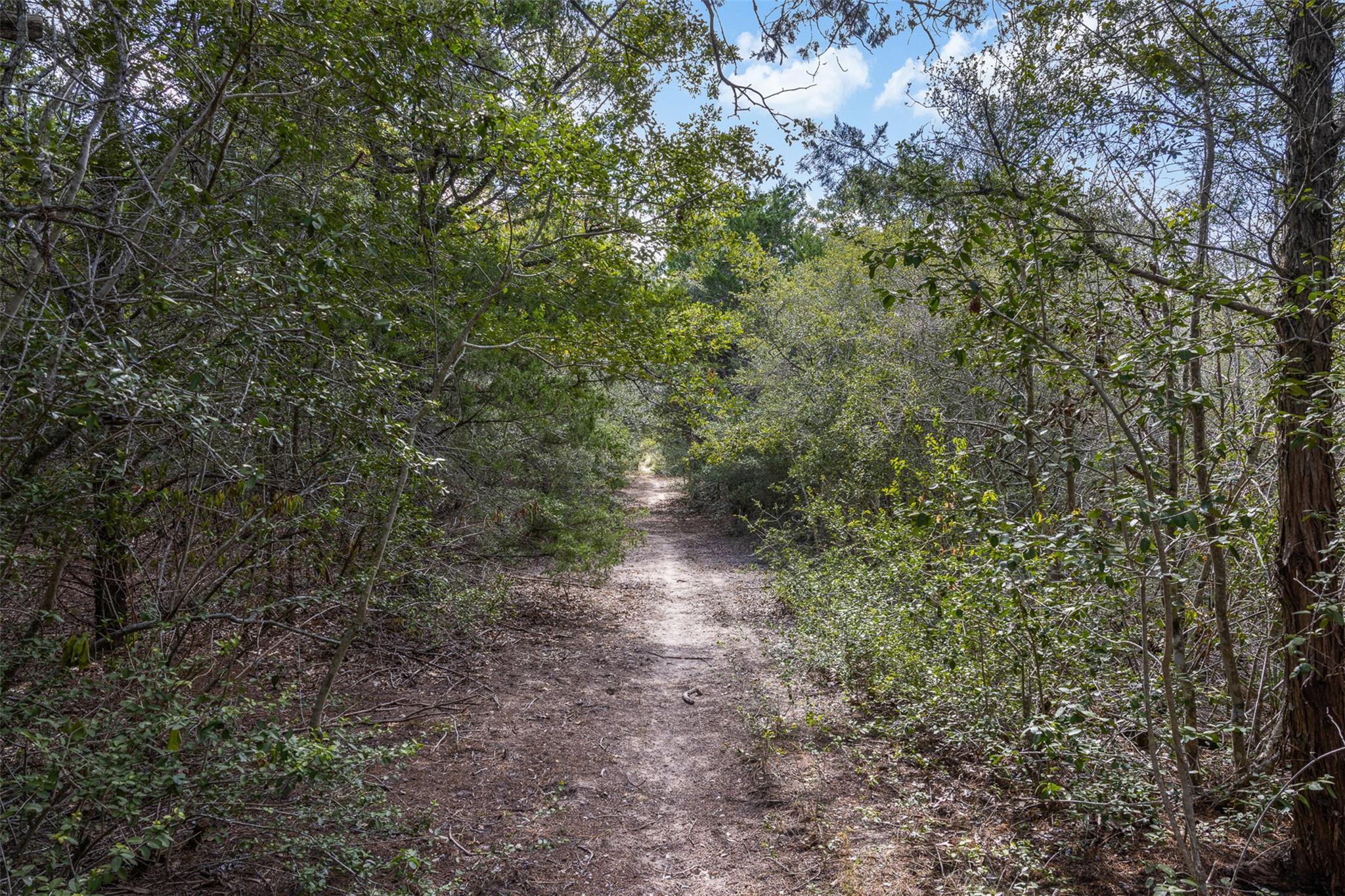 2025 Mule Creek Rd, Harwood, TX 78632