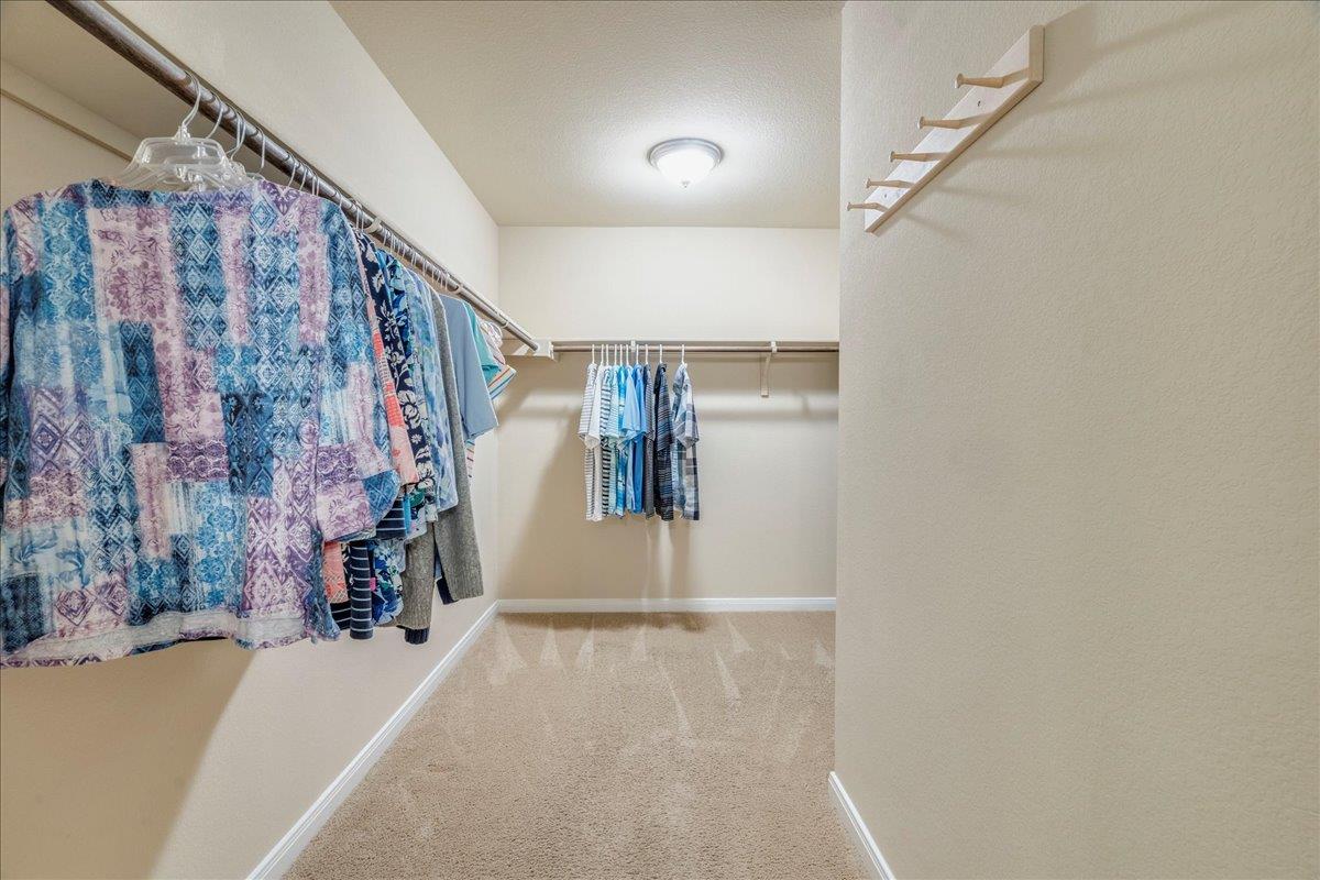 290 Dusky Thrush Dr, Kyle, TX 78640