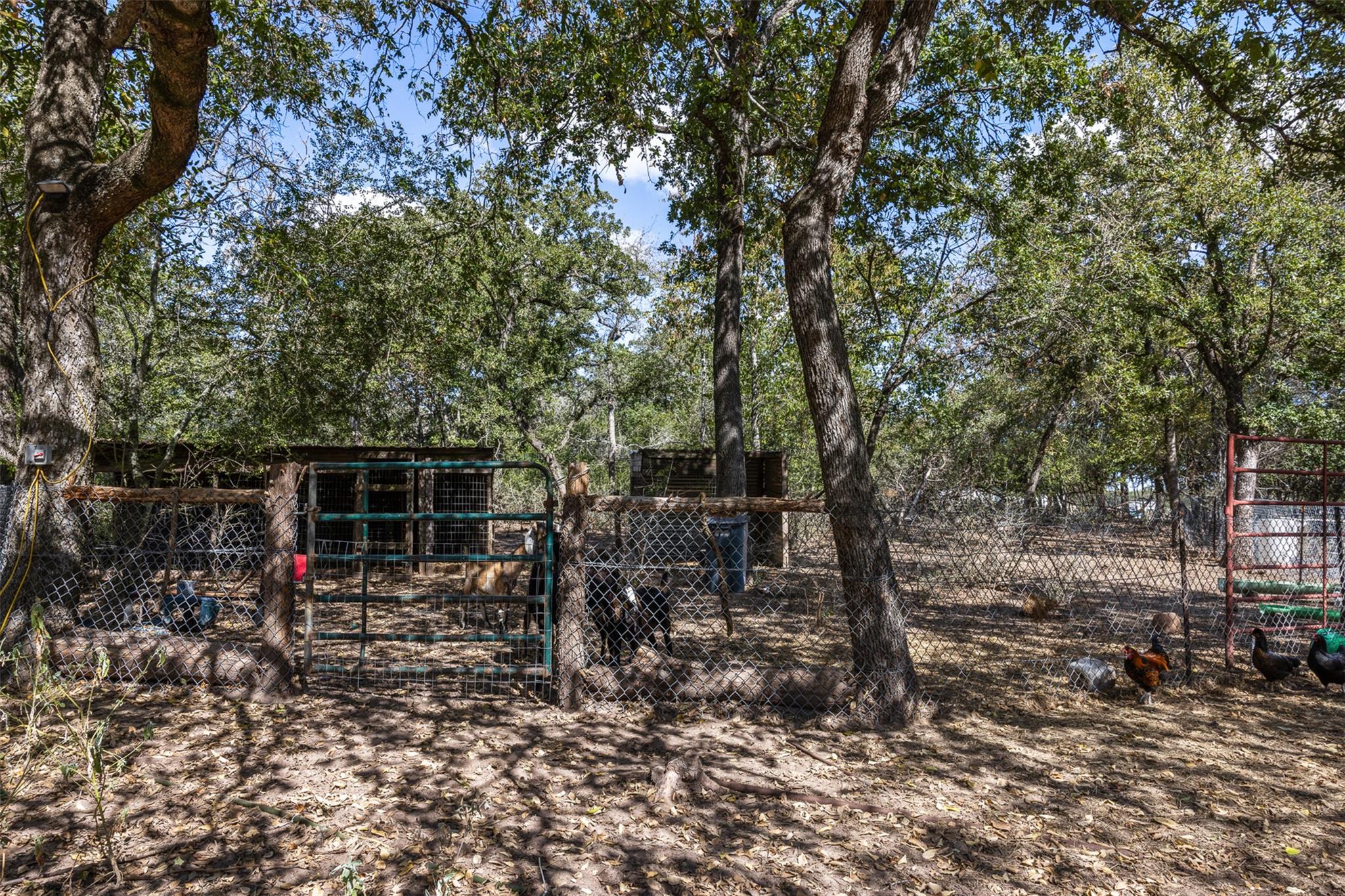 2135 Mule Creek Rd, Harwood, TX 78632