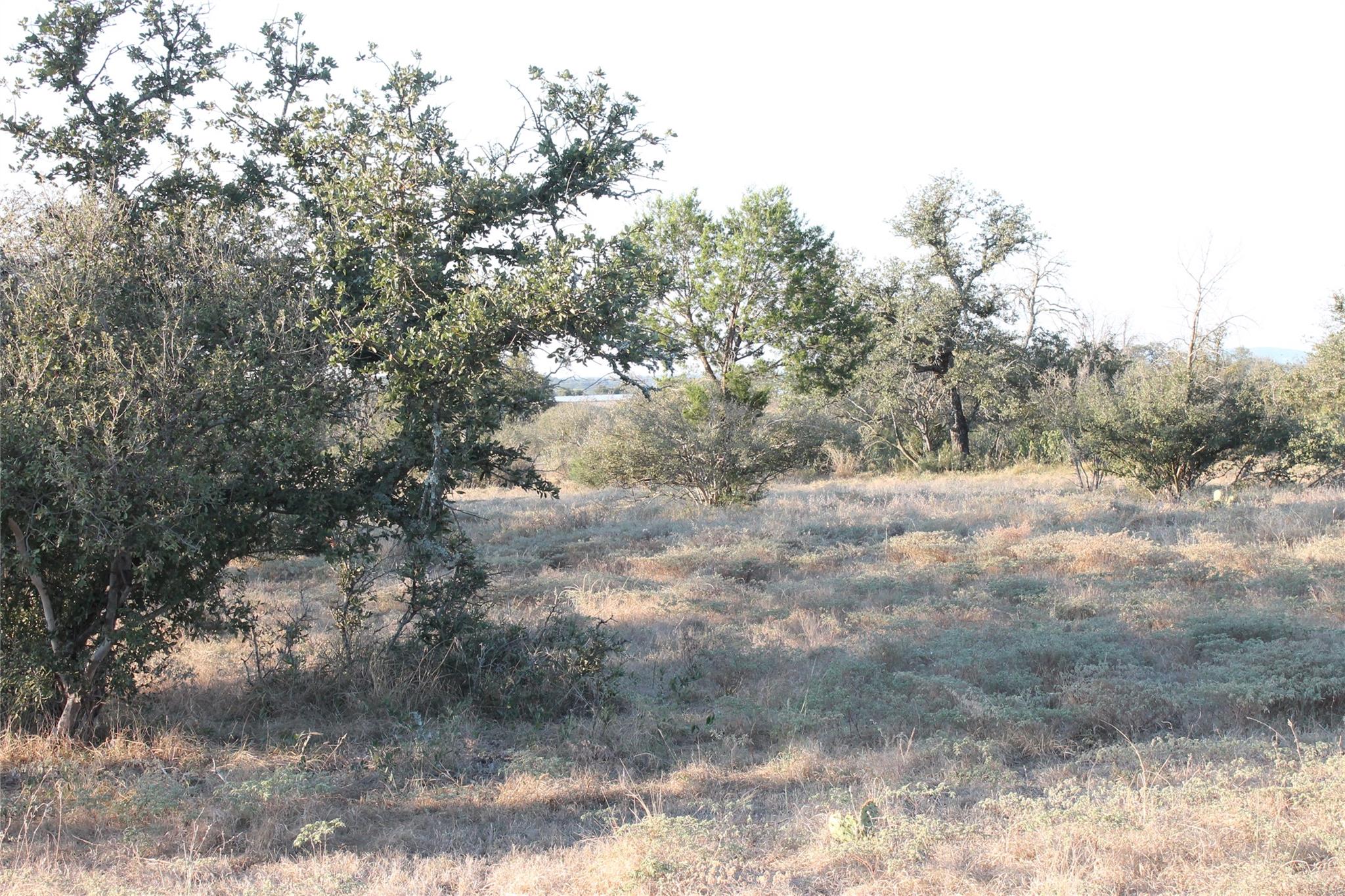 tbd Wolf Creek Rand Rd, Burnet, TX 78611