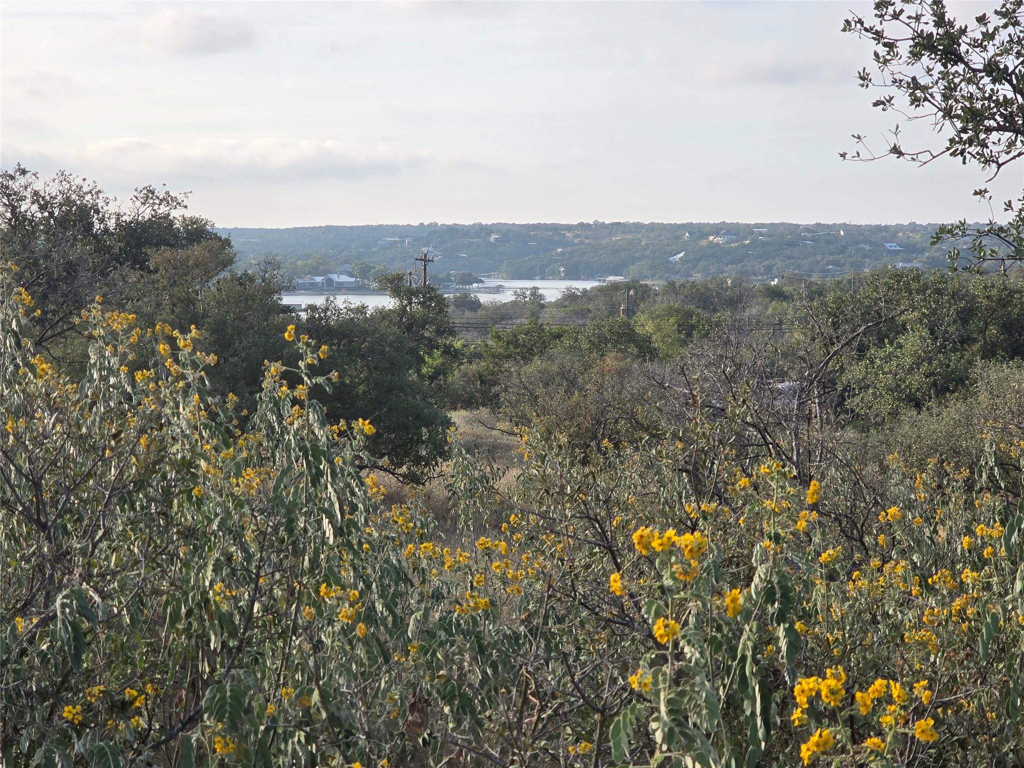 tbd Wolf Creek Rand Rd, Burnet, TX 78611