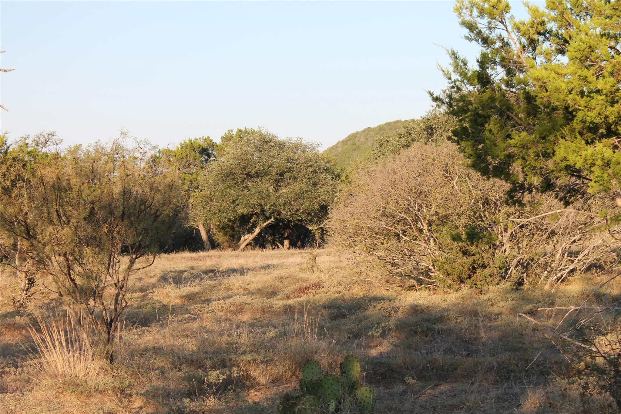 tbd Wolf Creek Rand Rd, Burnet, TX 78611