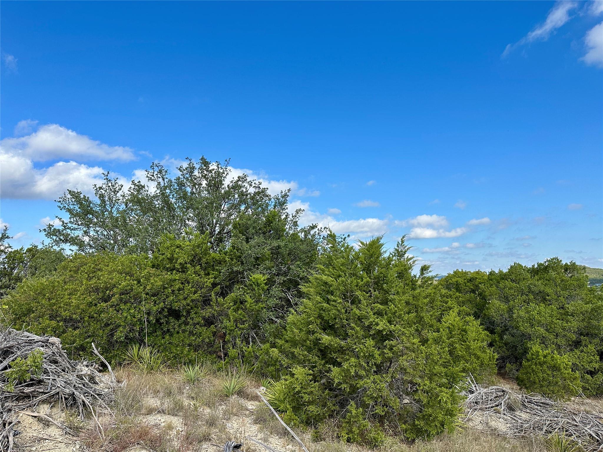 6019 La Paloma Ln, Lago Vista, TX 78645