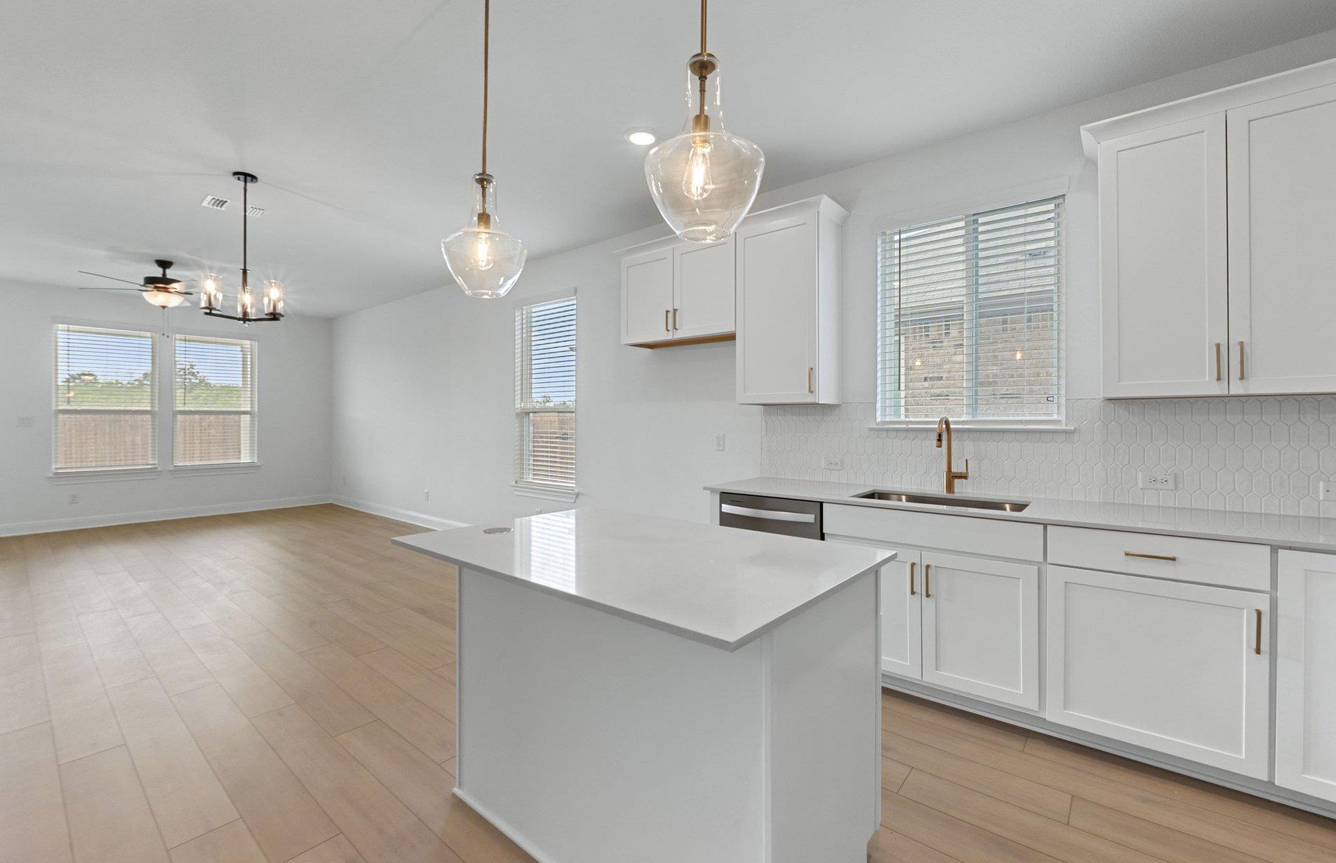 16909 Santiaguillo Trce, Manor, TX 78653