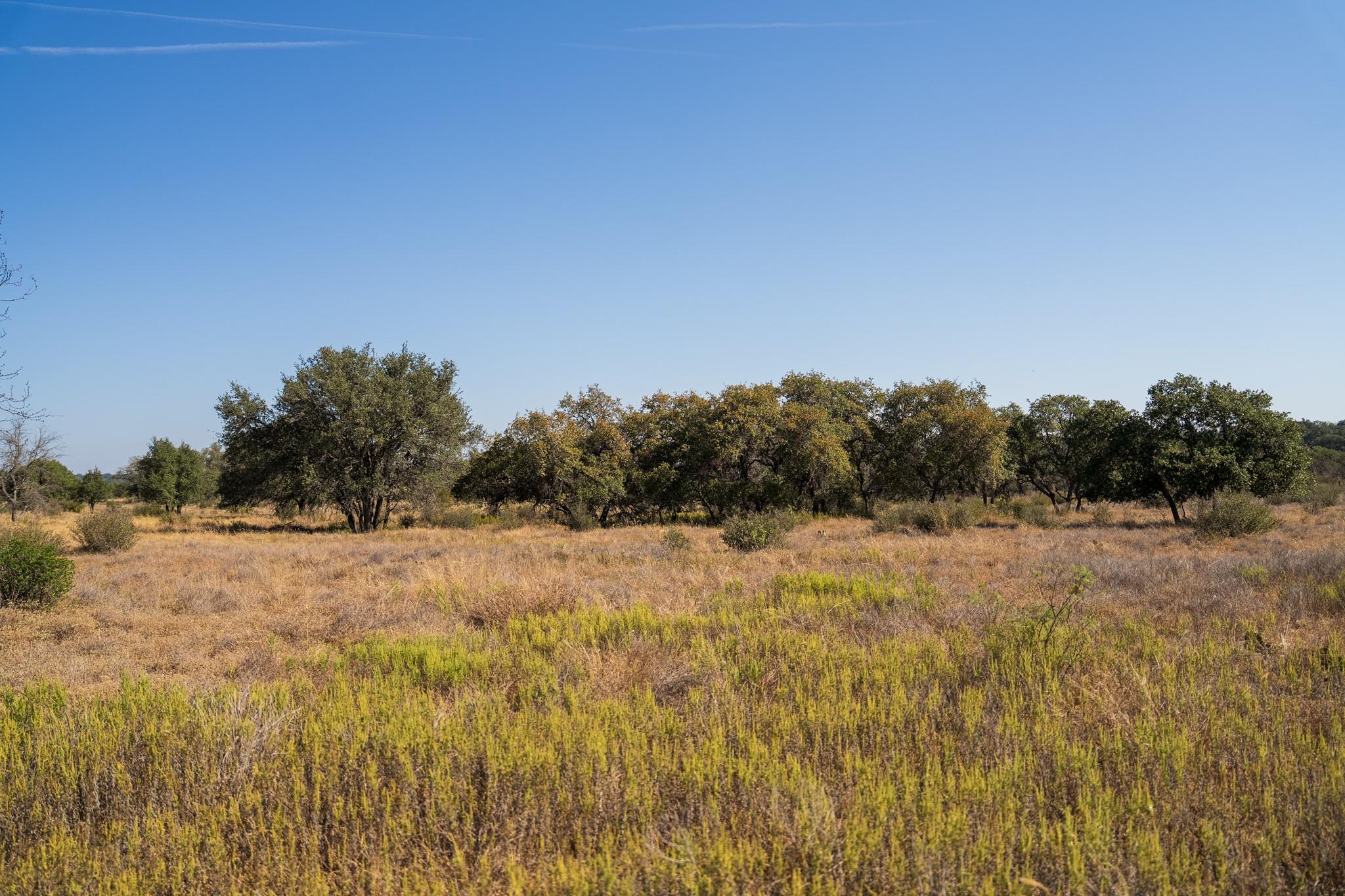 928 Bendele Rd, Johnson City, TX 78636