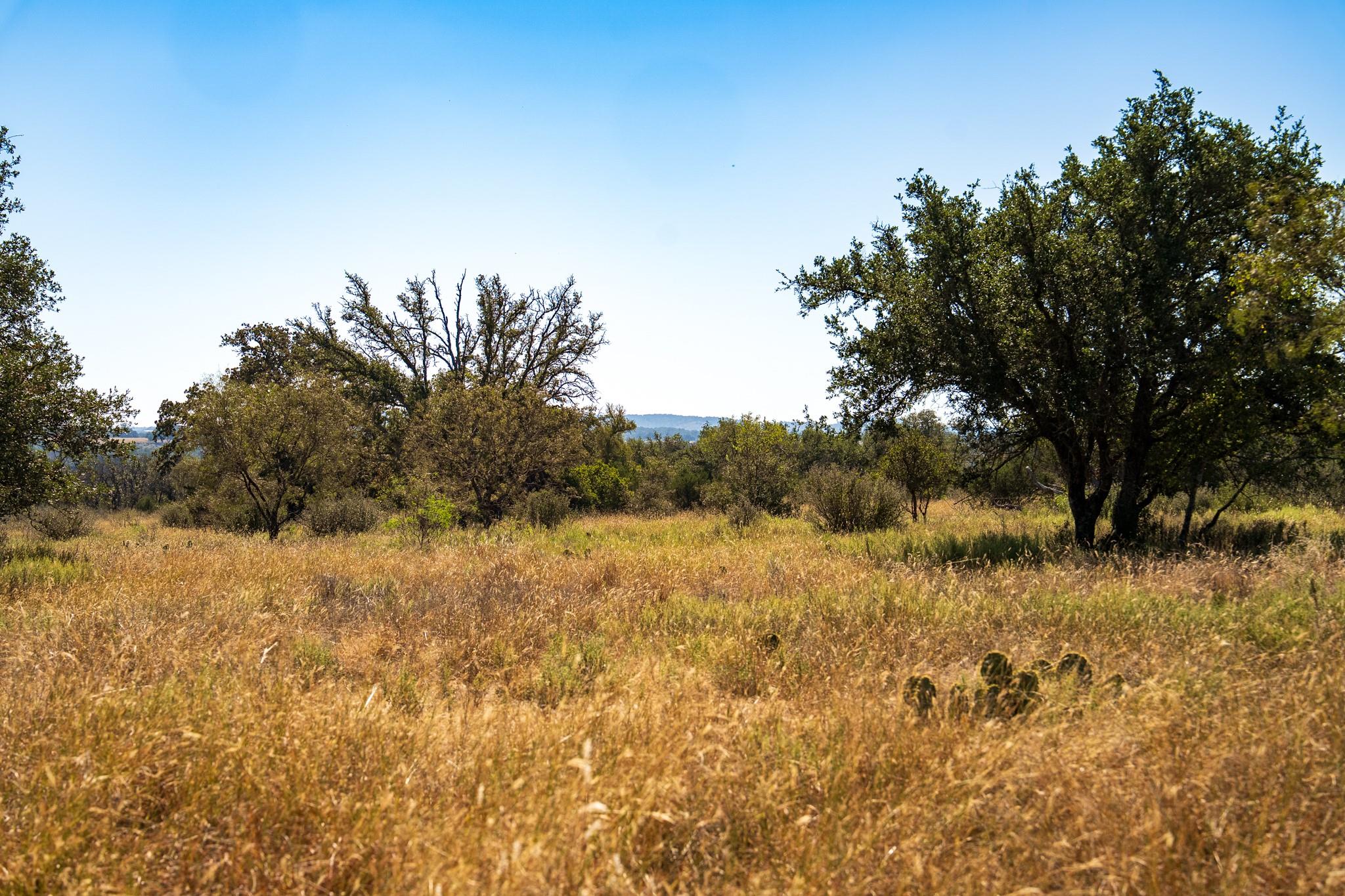 928 Bendele Rd, Johnson City, TX 78636