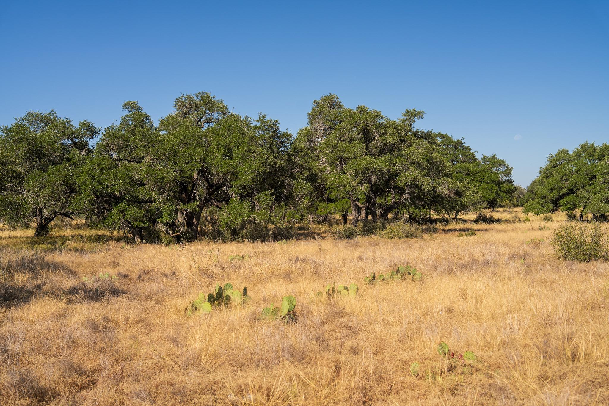 928 Bendele Rd, Johnson City, TX 78636