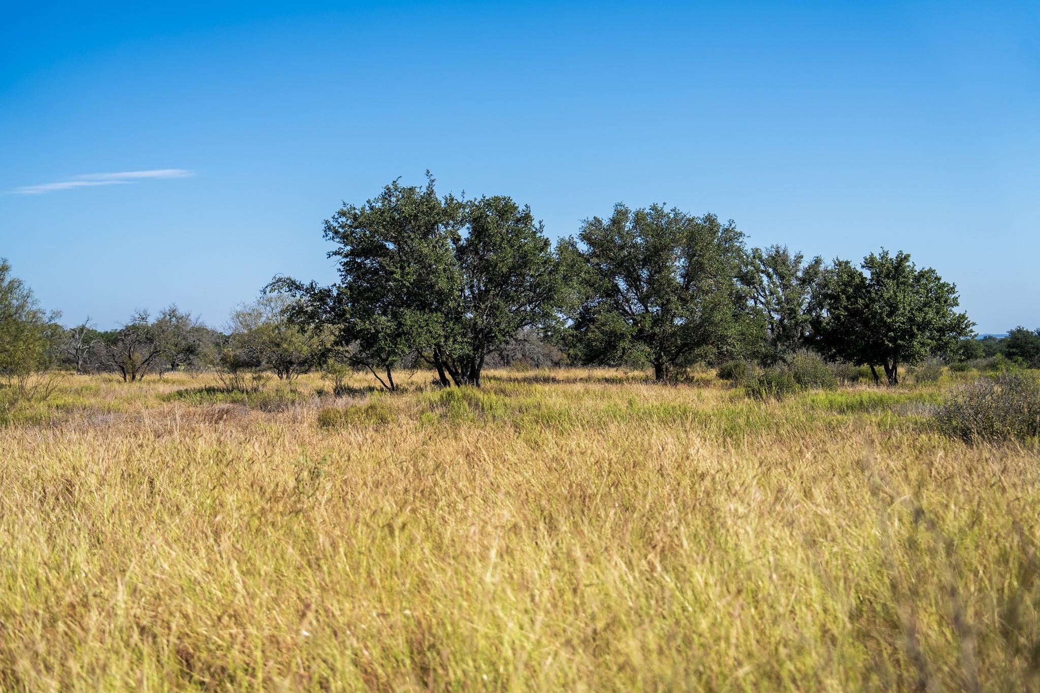 928 Bendele Rd, Johnson City, TX 78636