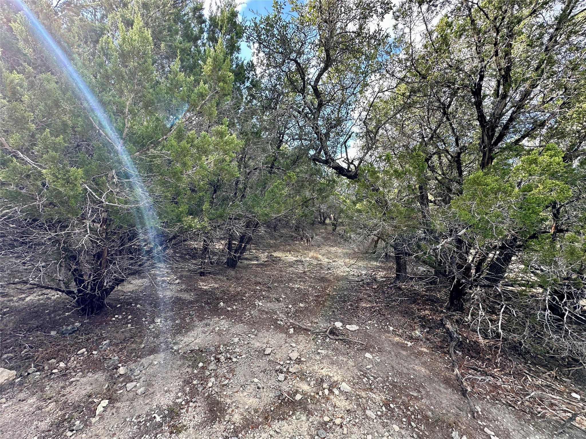 3203 Marshall Ave, Lago Vista, TX 78645