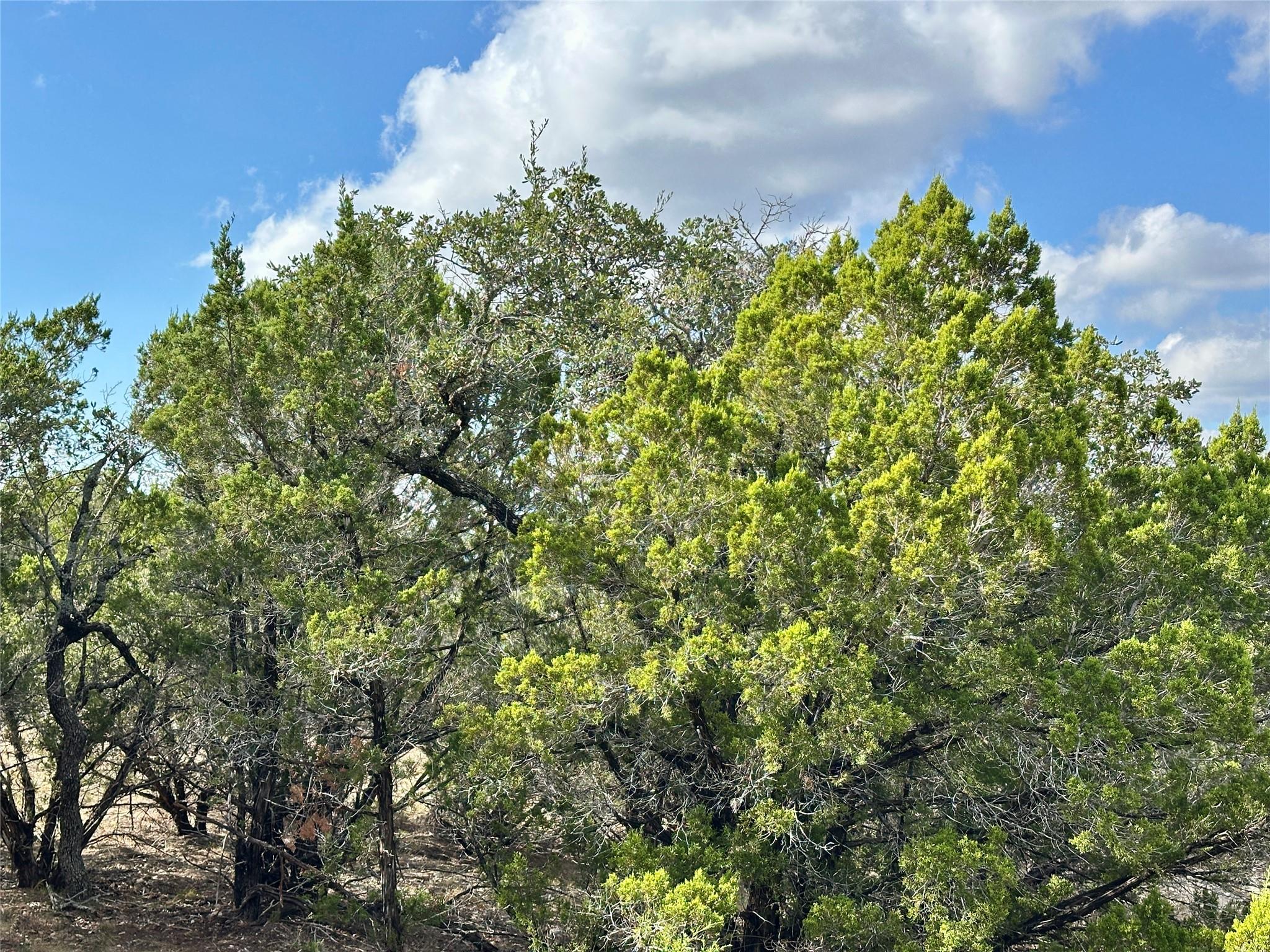 3203 Marshall Ave, Lago Vista, TX 78645