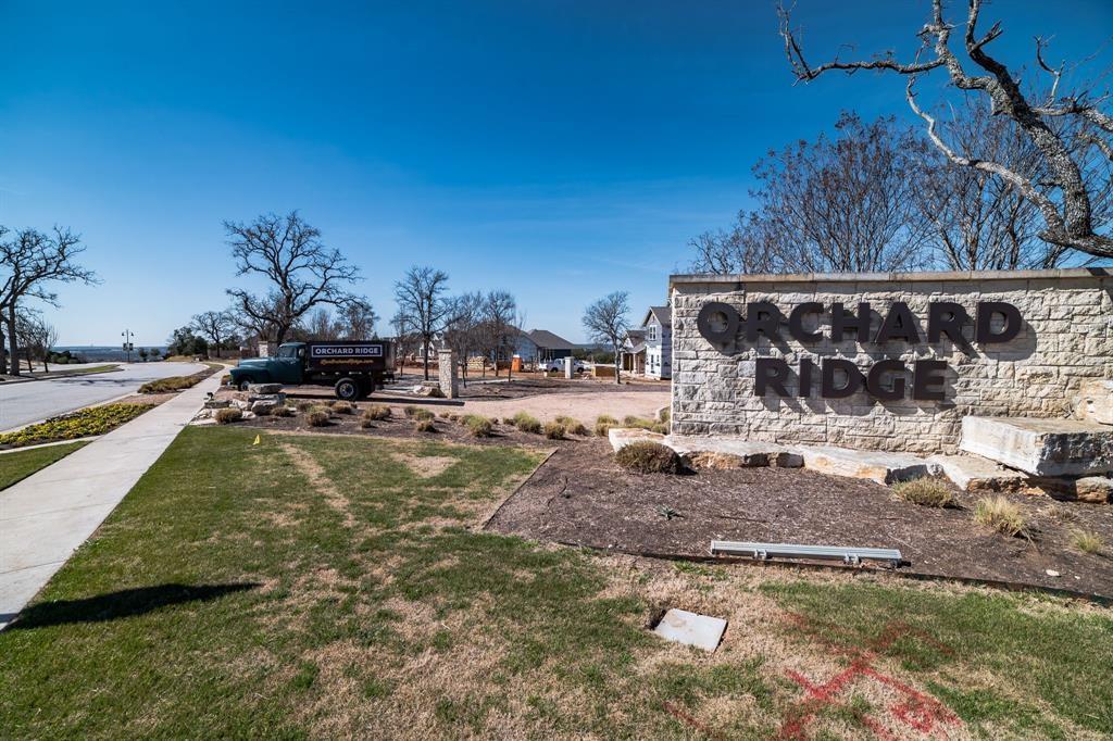 220 Red Buckeye Loop, Liberty Hill, TX 78642