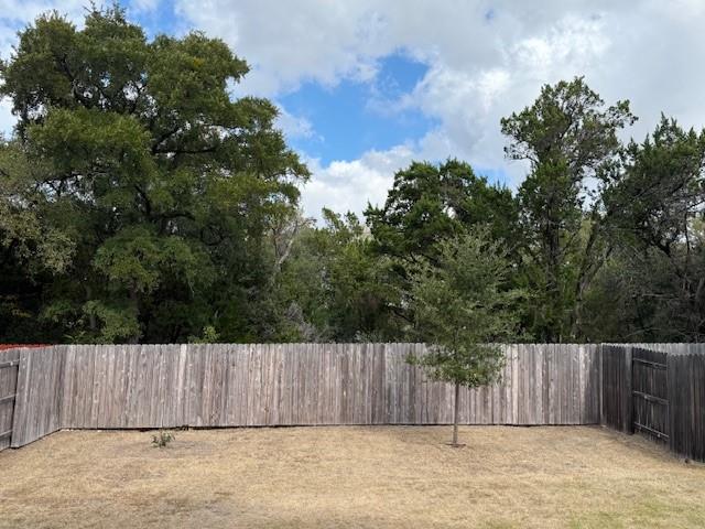 220 Red Buckeye Loop, Liberty Hill, TX 78642