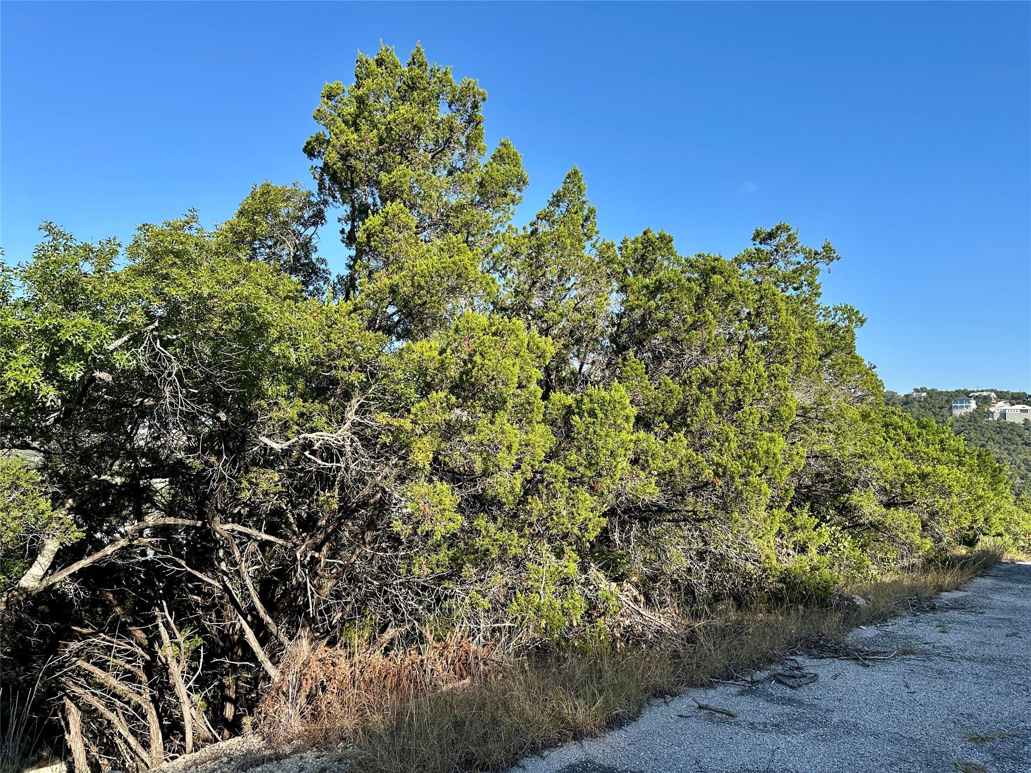 7904 Arroyo Ave, Lago Vista, TX 78645