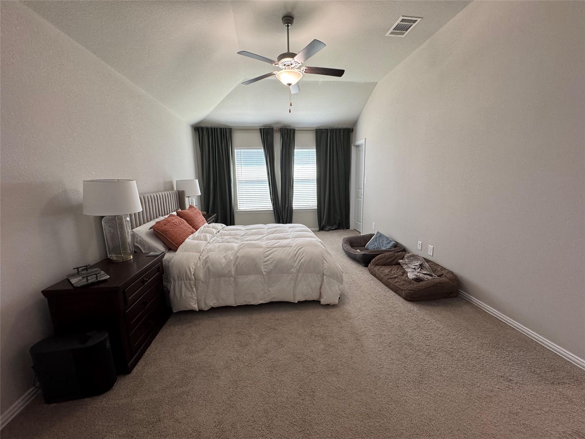 247 Simon, Kyle, TX 78640