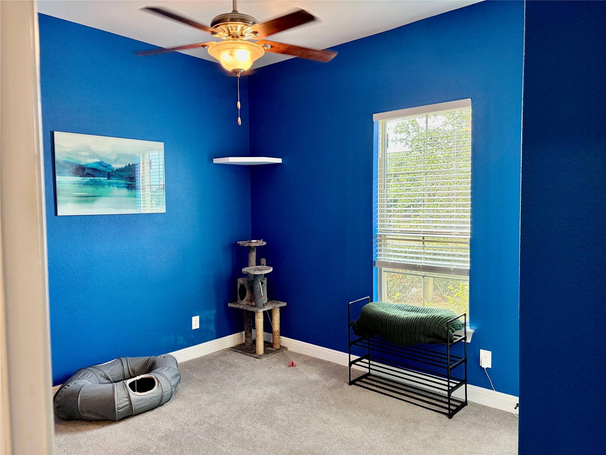 2804 Wooden Tower St, Pflugerville, TX 78660