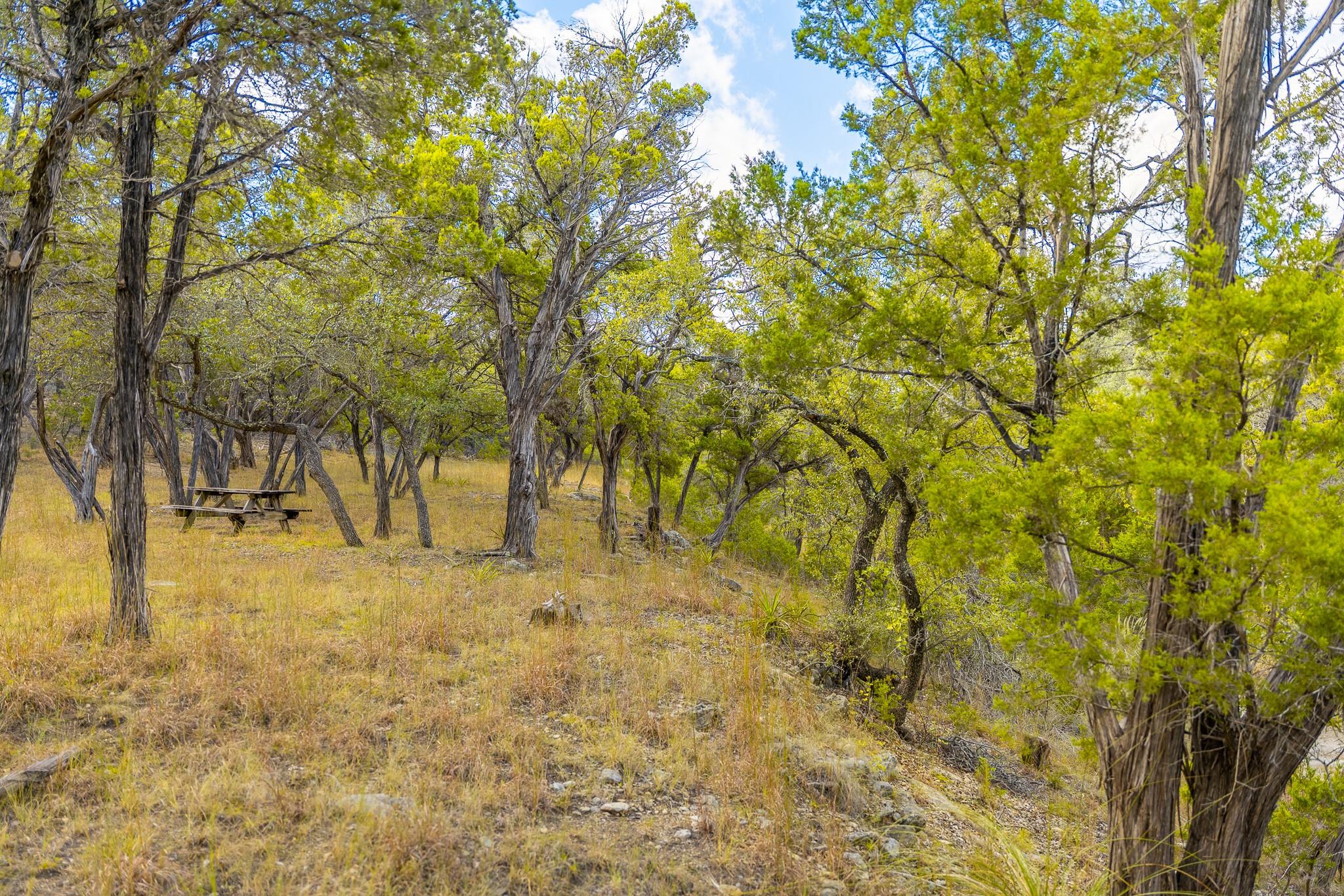 0 Stagecoach Ranch Loop, Dripping Springs, TX 78620