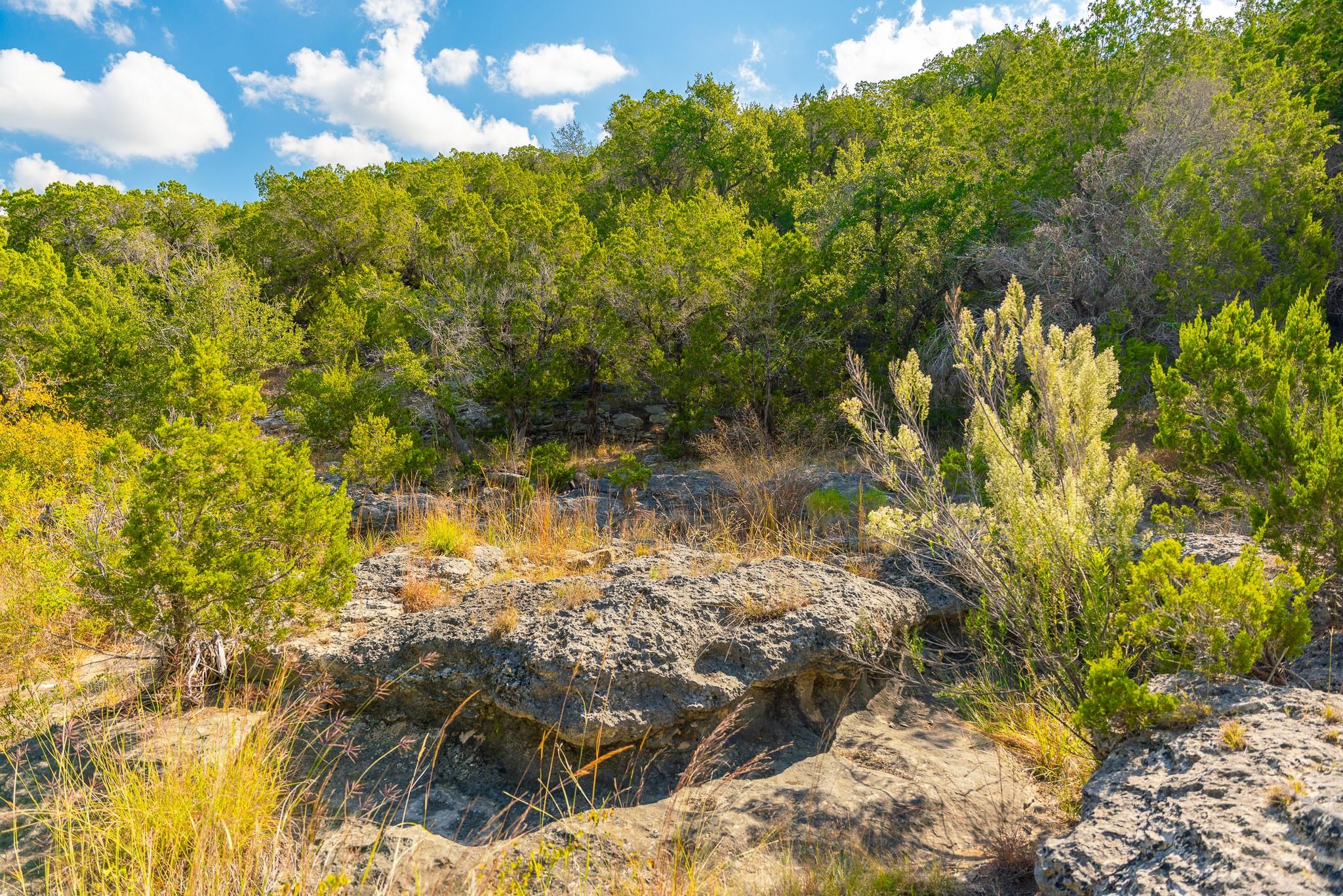 0 Stagecoach Ranch Loop, Dripping Springs, TX 78620