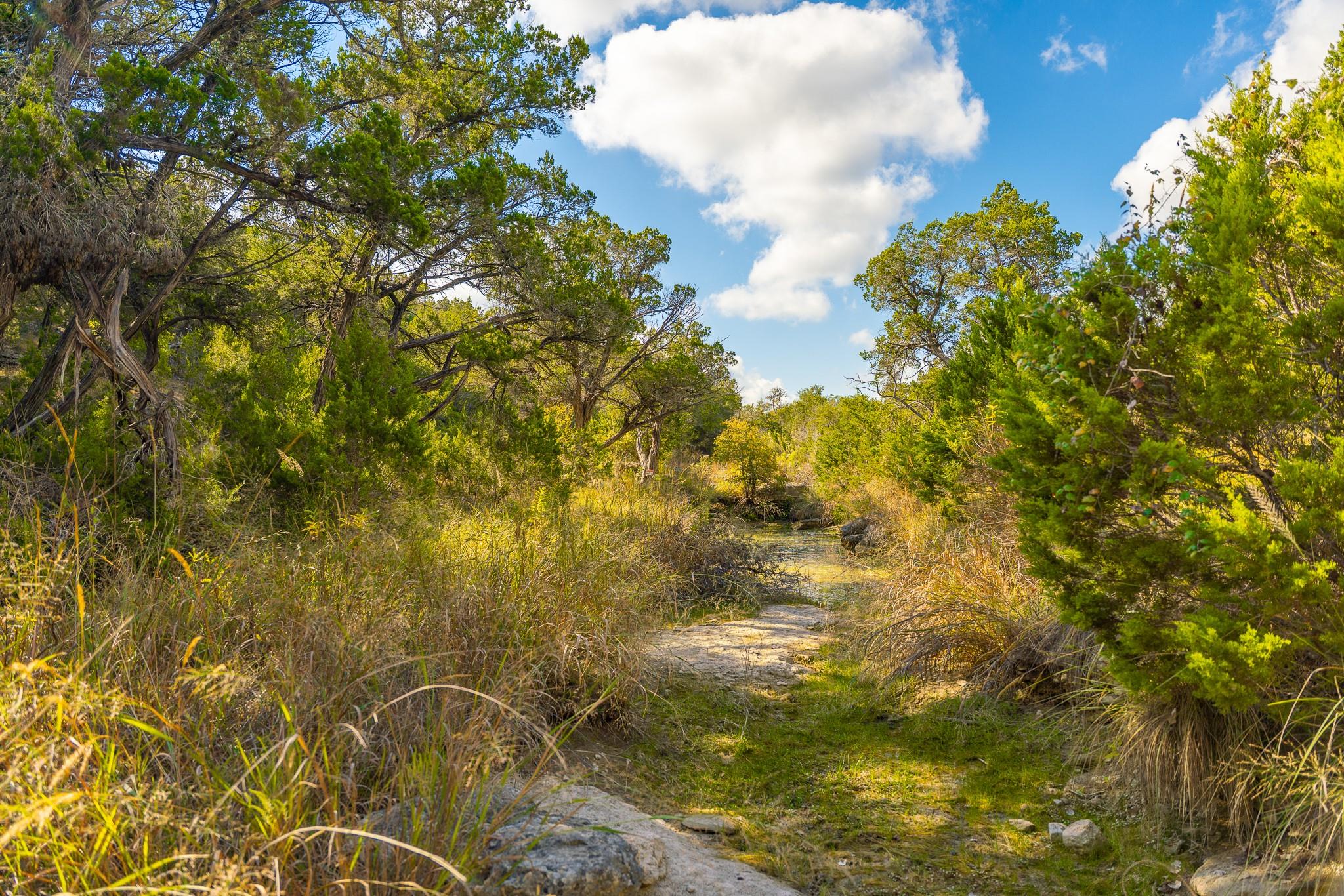 0 Stagecoach Ranch Loop, Dripping Springs, TX 78620
