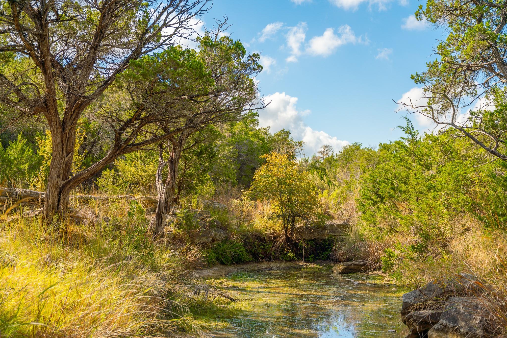 0 Stagecoach Ranch Loop, Dripping Springs, TX 78620