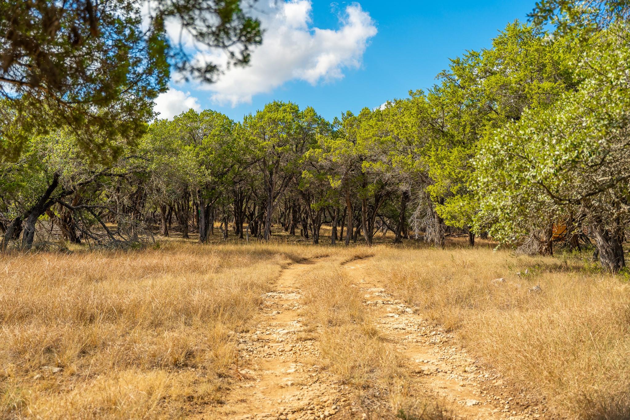 0 Stagecoach Ranch Loop, Dripping Springs, TX 78620