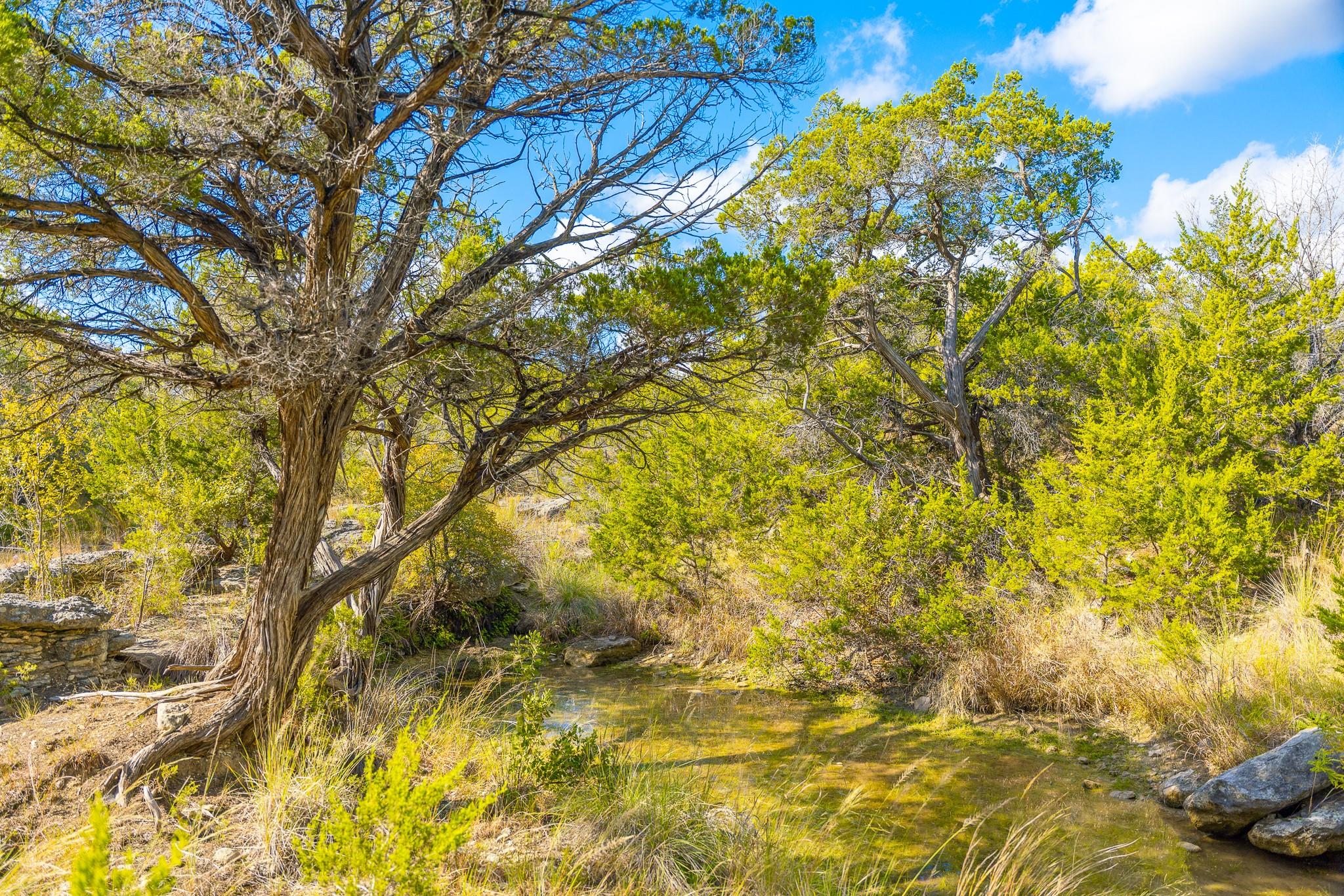0 Stagecoach Ranch Loop, Dripping Springs, TX 78620