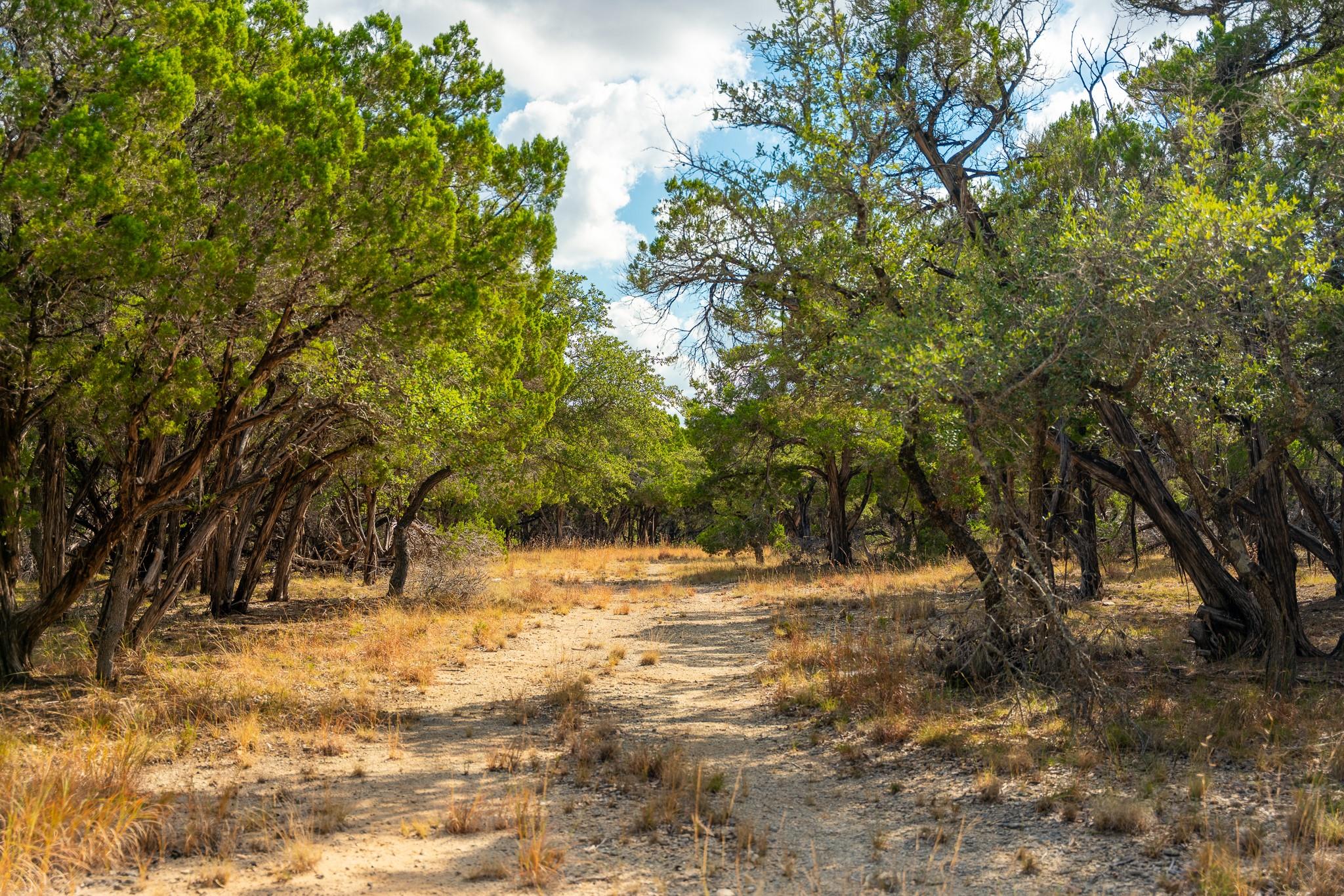 0 Stagecoach Ranch Loop, Dripping Springs, TX 78620