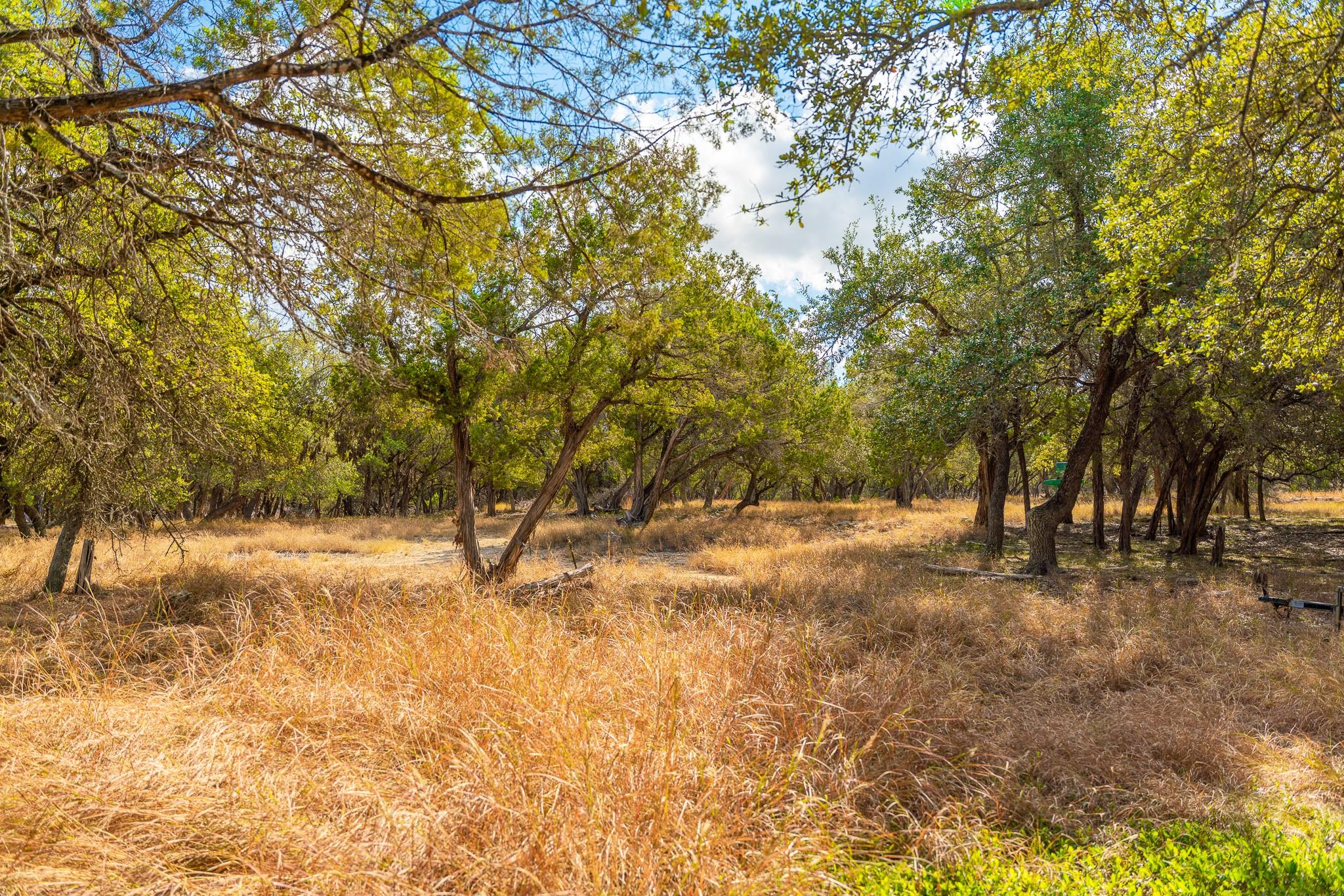 0 Stagecoach Ranch Loop, Dripping Springs, TX 78620