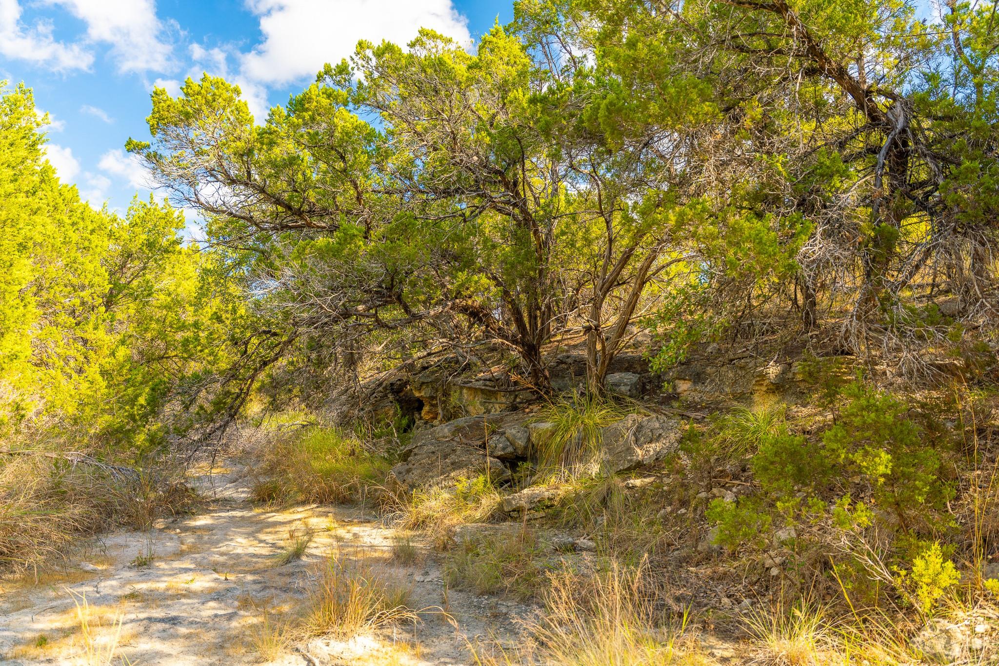 0 Stagecoach Ranch Loop, Dripping Springs, TX 78620
