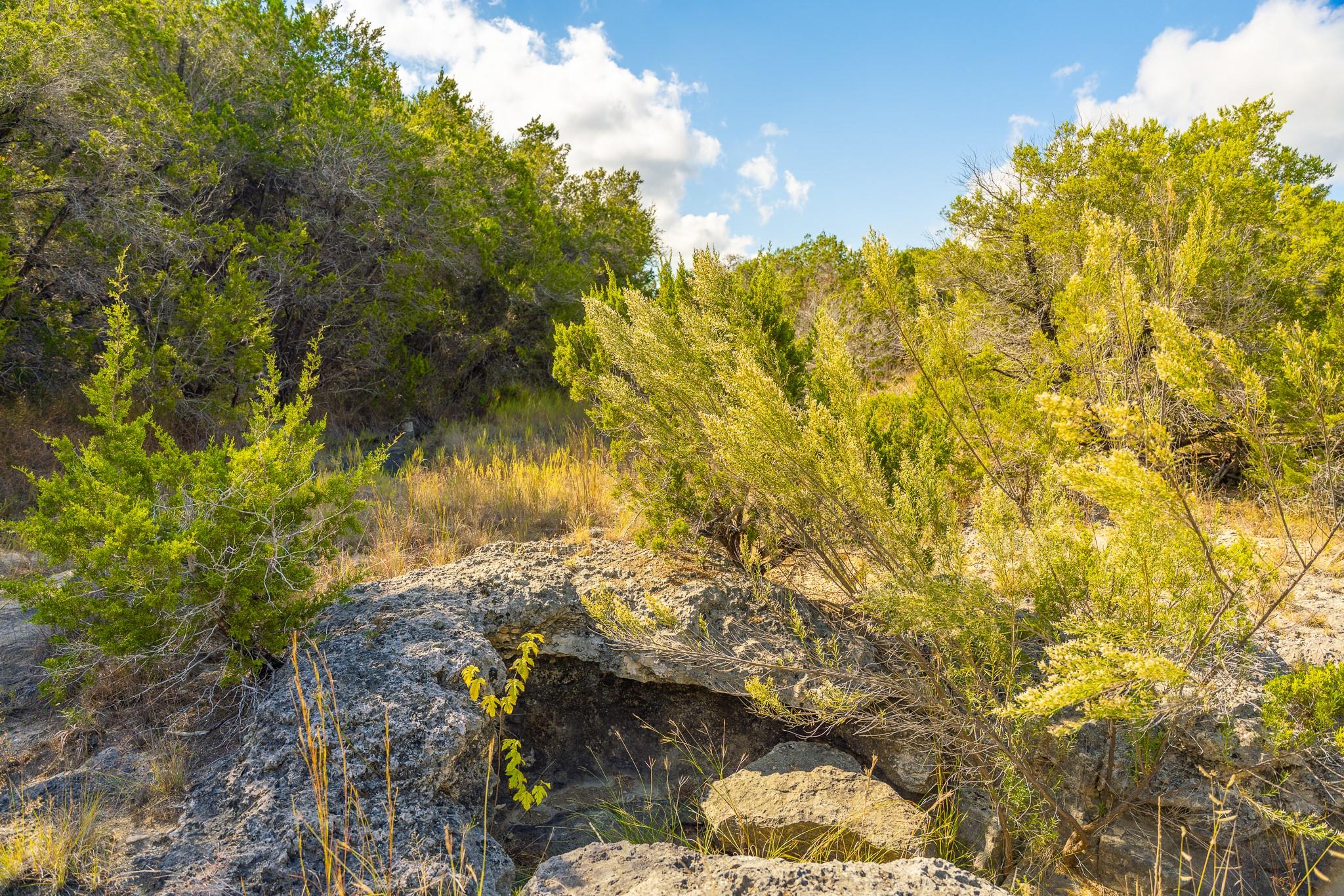 0 Stagecoach Ranch Loop, Dripping Springs, TX 78620