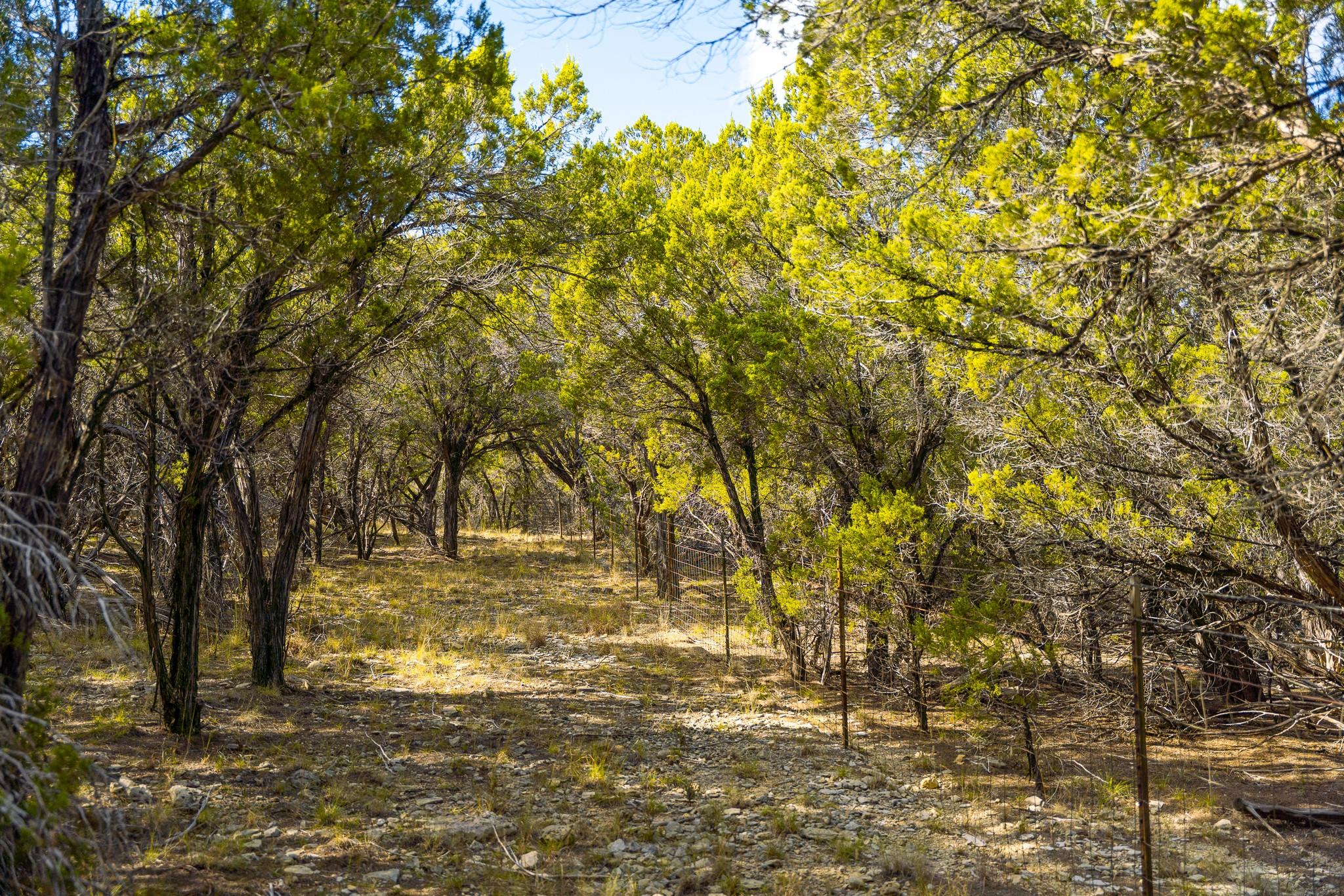 0 Stagecoach Ranch Loop, Dripping Springs, TX 78620