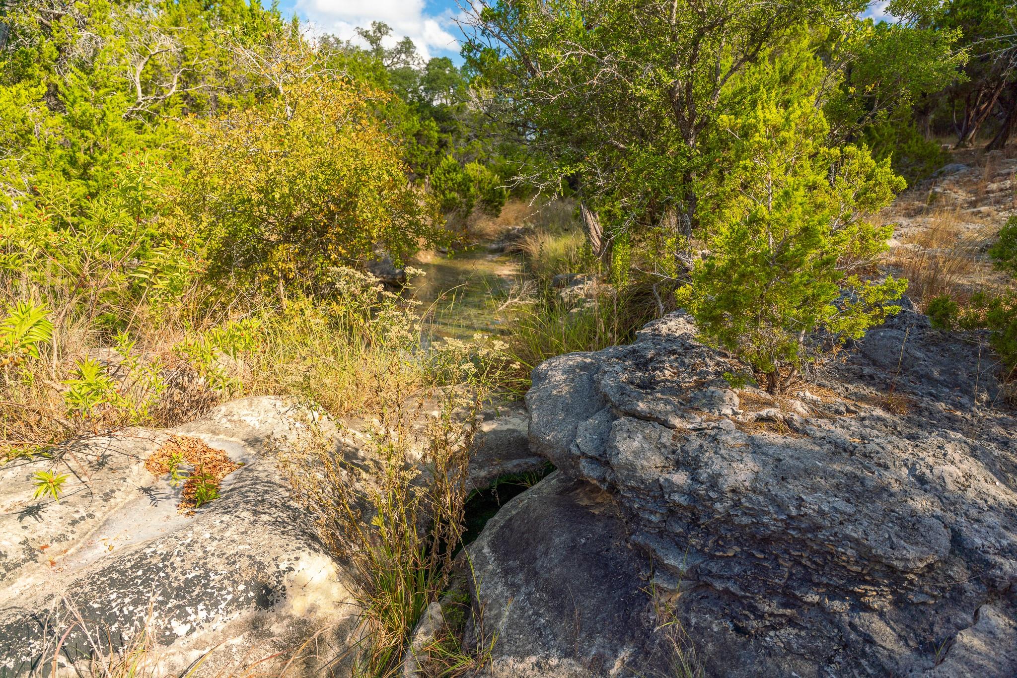0 Stagecoach Ranch Loop, Dripping Springs, TX 78620