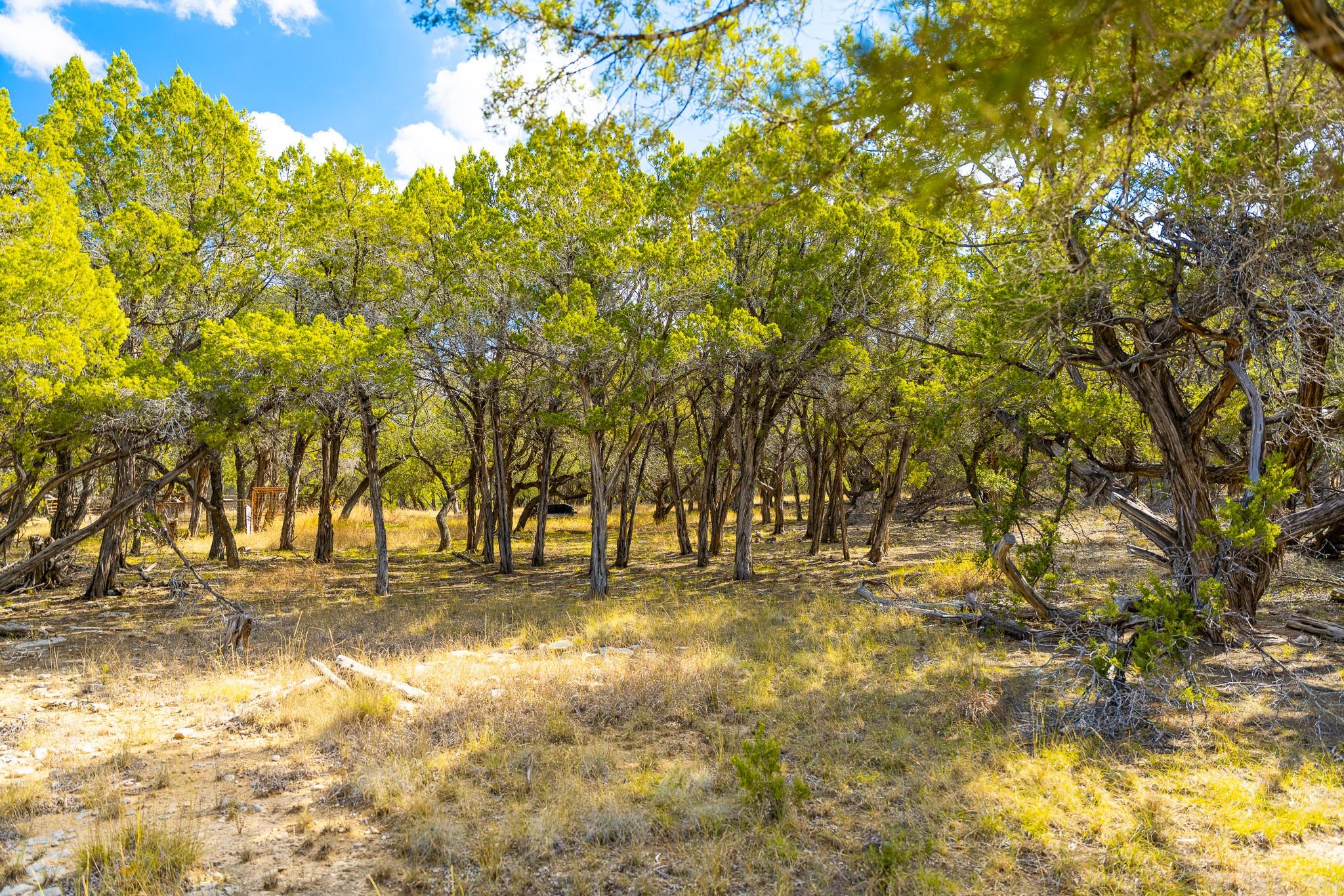 0 Stagecoach Ranch Loop, Dripping Springs, TX 78620