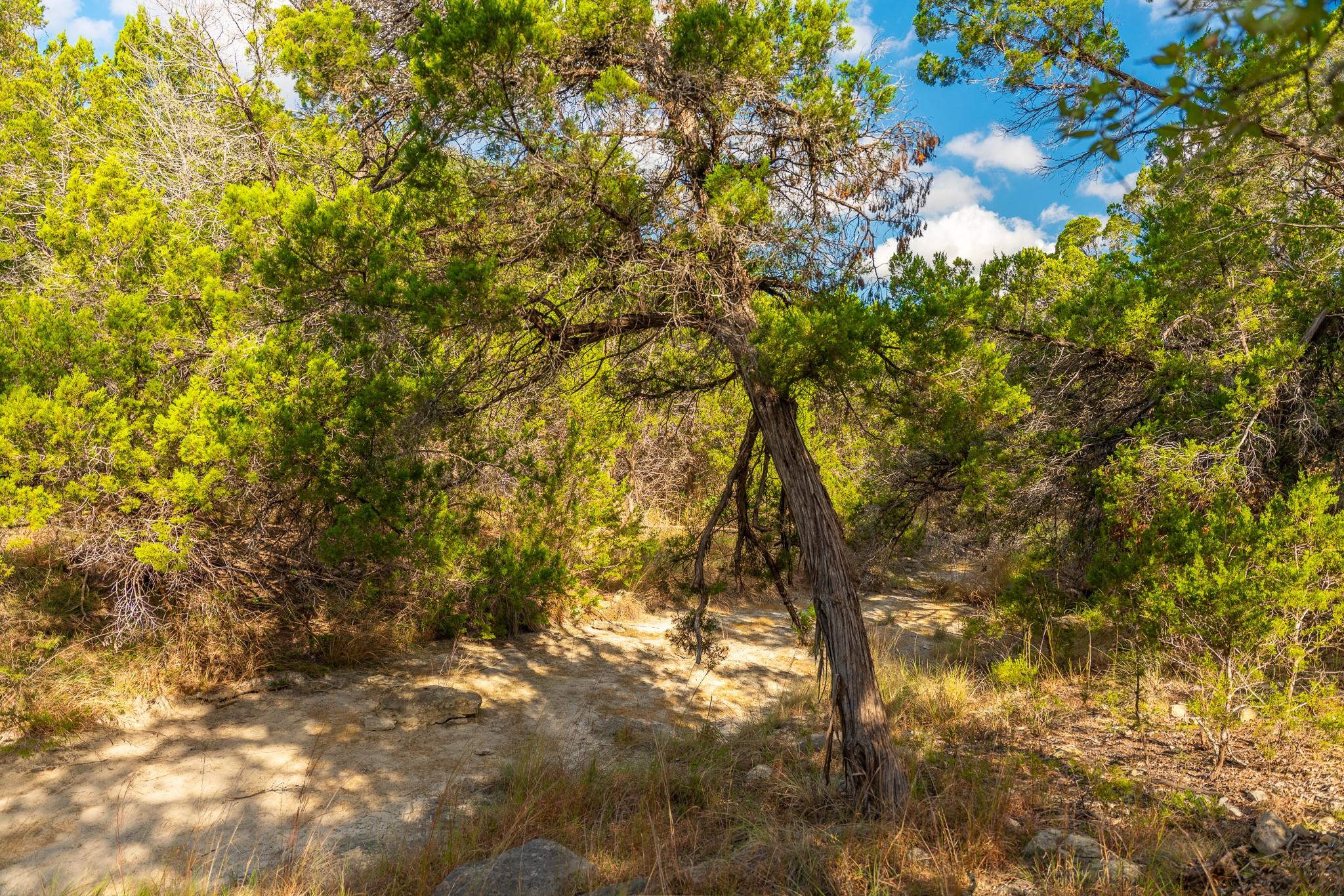 0 Stagecoach Ranch Loop, Dripping Springs, TX 78620