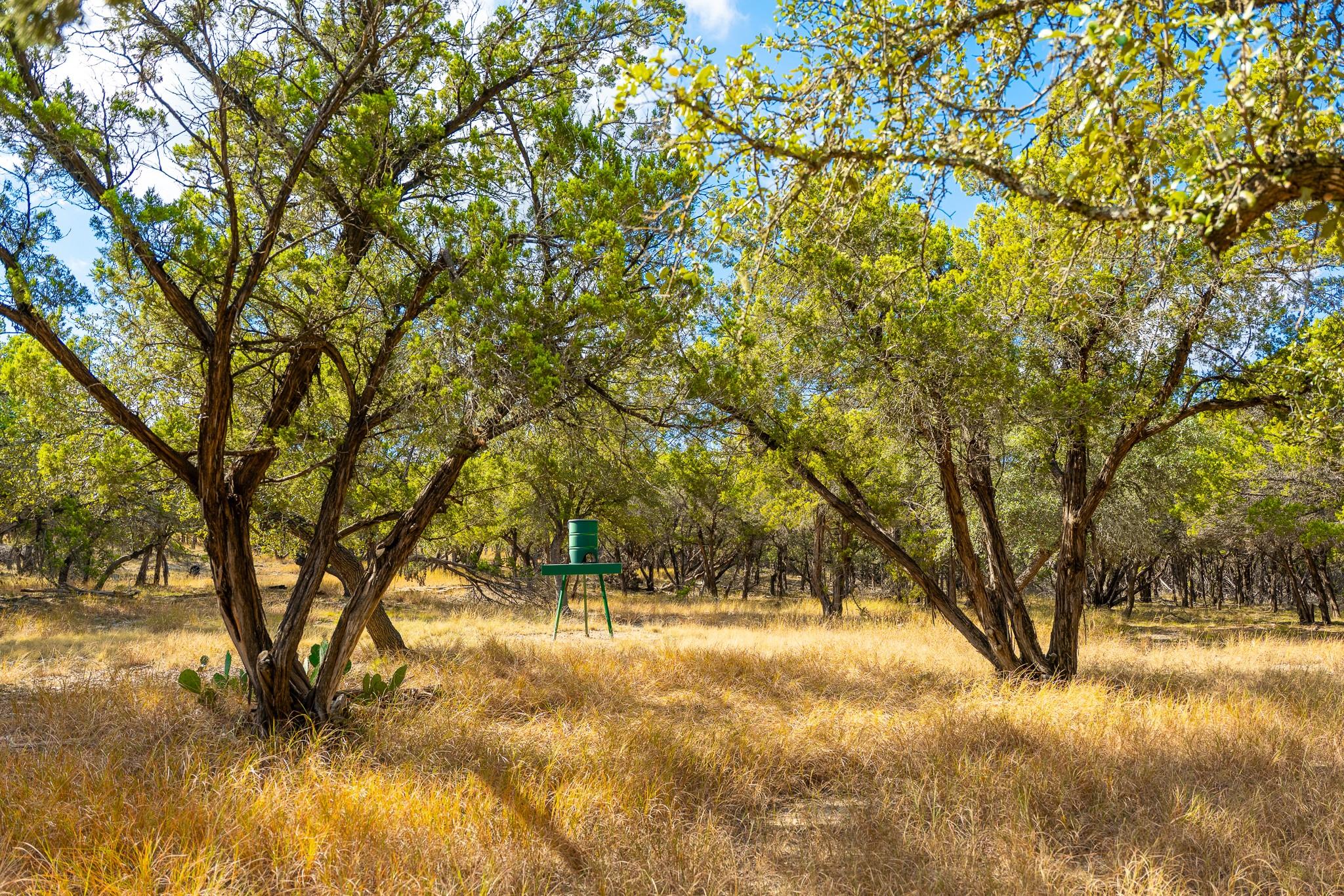 0 Stagecoach Ranch Loop, Dripping Springs, TX 78620