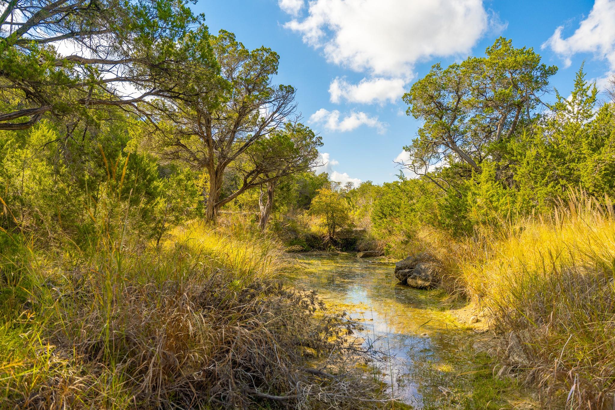 0 Stagecoach Ranch Loop, Dripping Springs, TX 78620