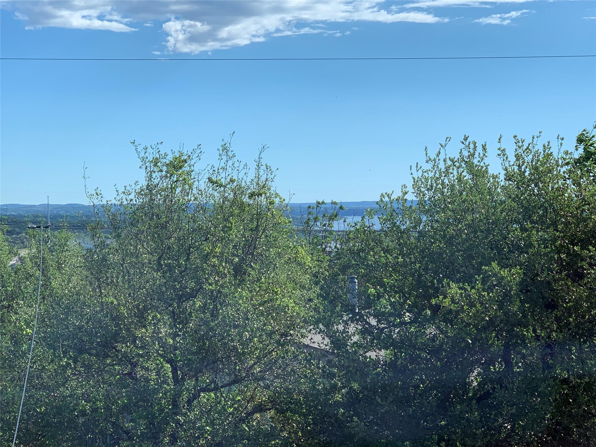 4204 BOB WIRE Rd, Spicewood, TX 78669