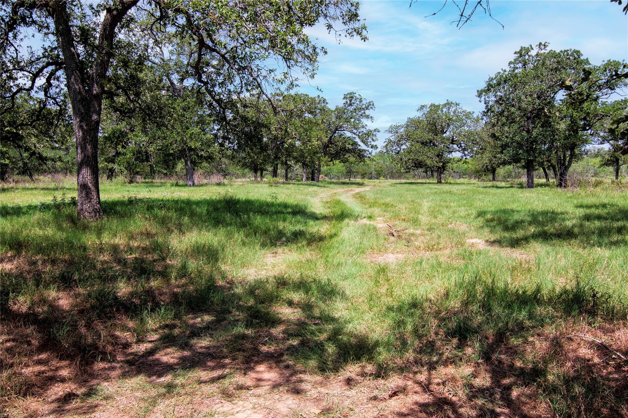 6750 Three Mile Rd, Flatonia, TX 78941