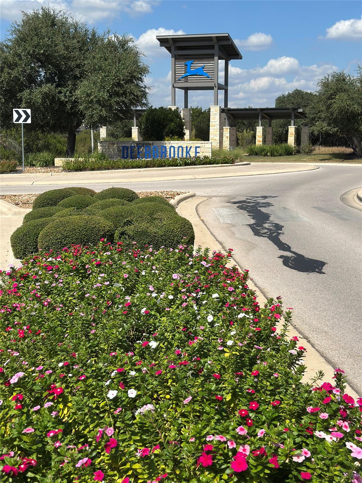 1020 Birchbrooke Dr, Leander, TX 78641