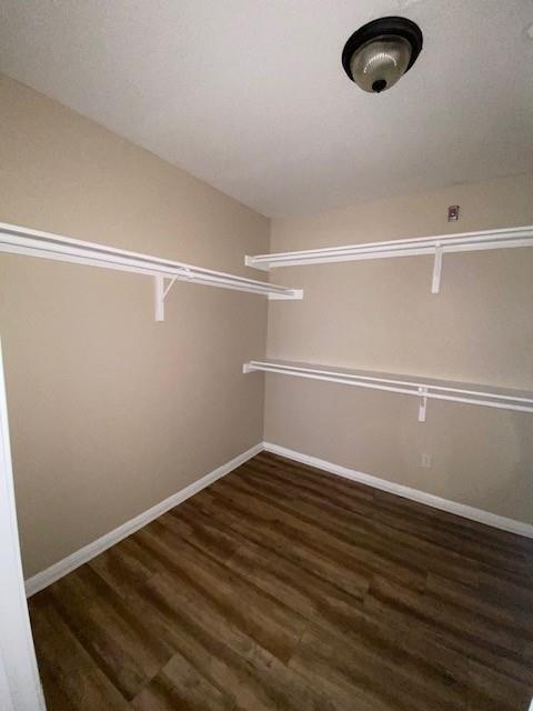 3109 Douglas Fir Dr # 3113, New Braunfels, TX 78130