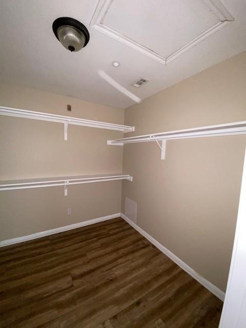 3109 Douglas Fir Dr # 3113, New Braunfels, TX 78130