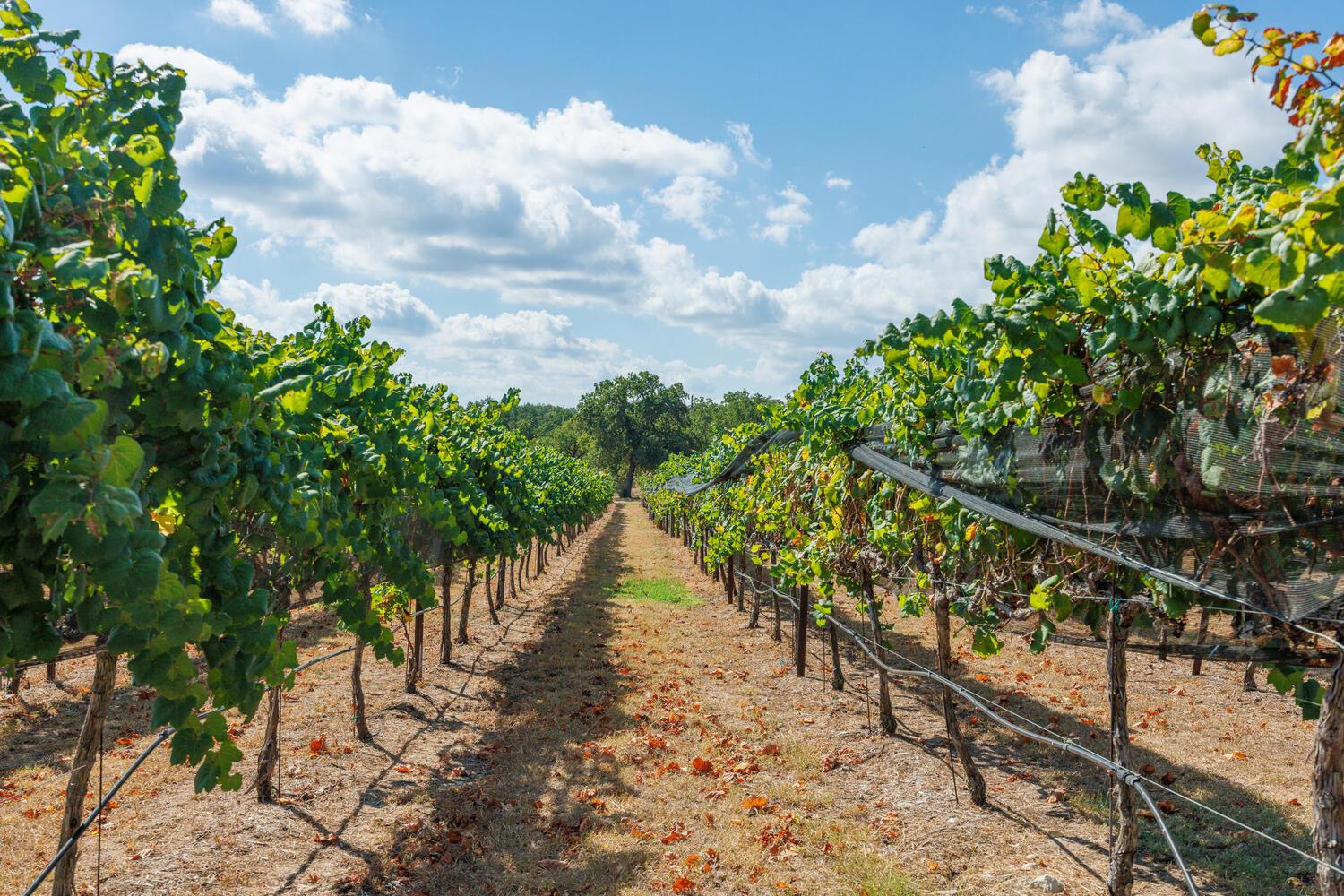 1758 Lincoln Smith Rd, Round Mountain, TX 78663