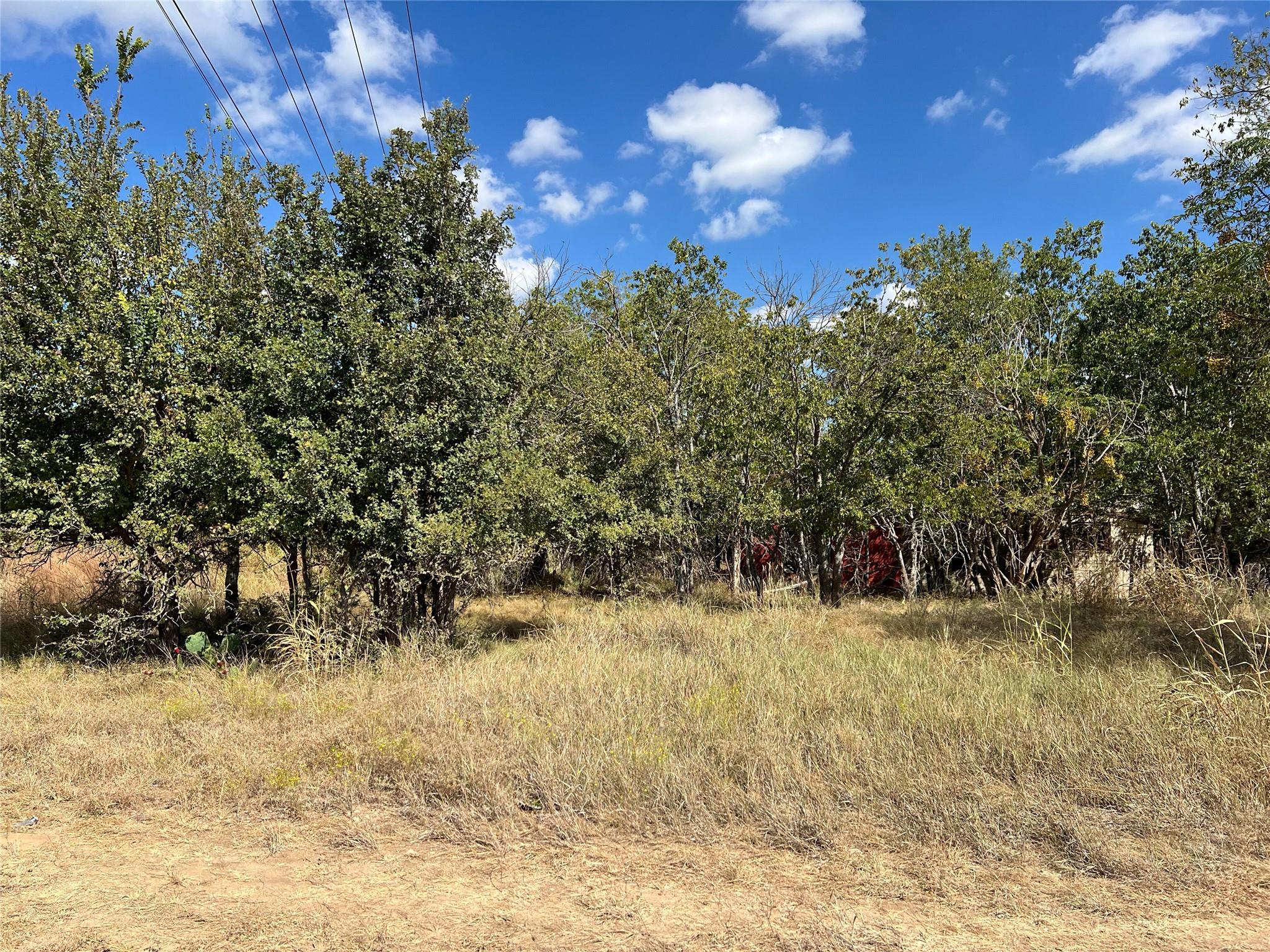 TBD County Road 202, Liberty Hill, TX 78642