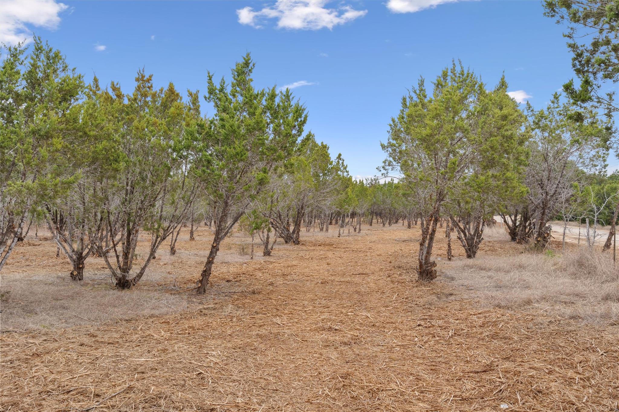 TBD County Road 202, Liberty Hill, TX 78642