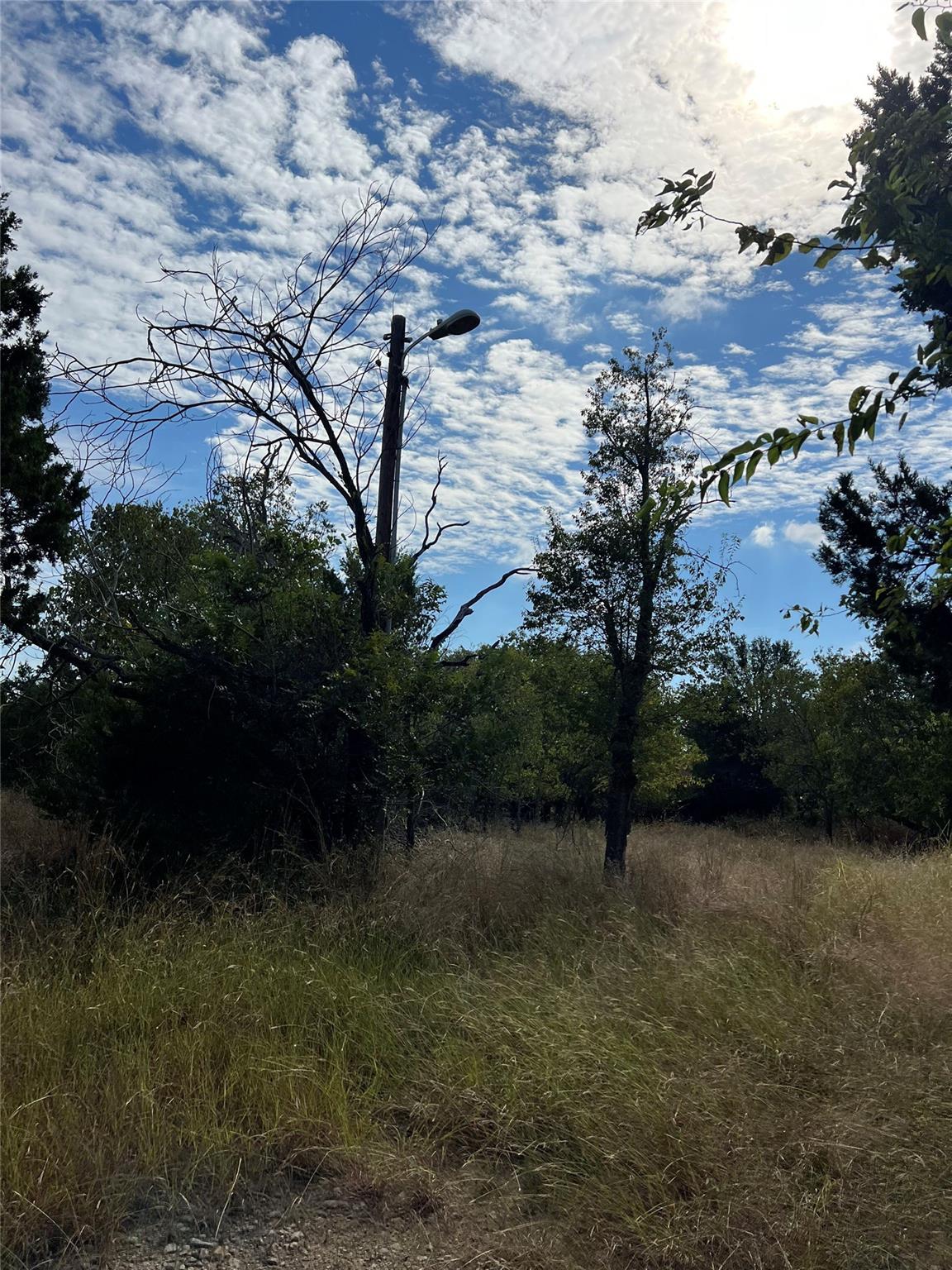 TBD County Road 202, Liberty Hill, TX 78642