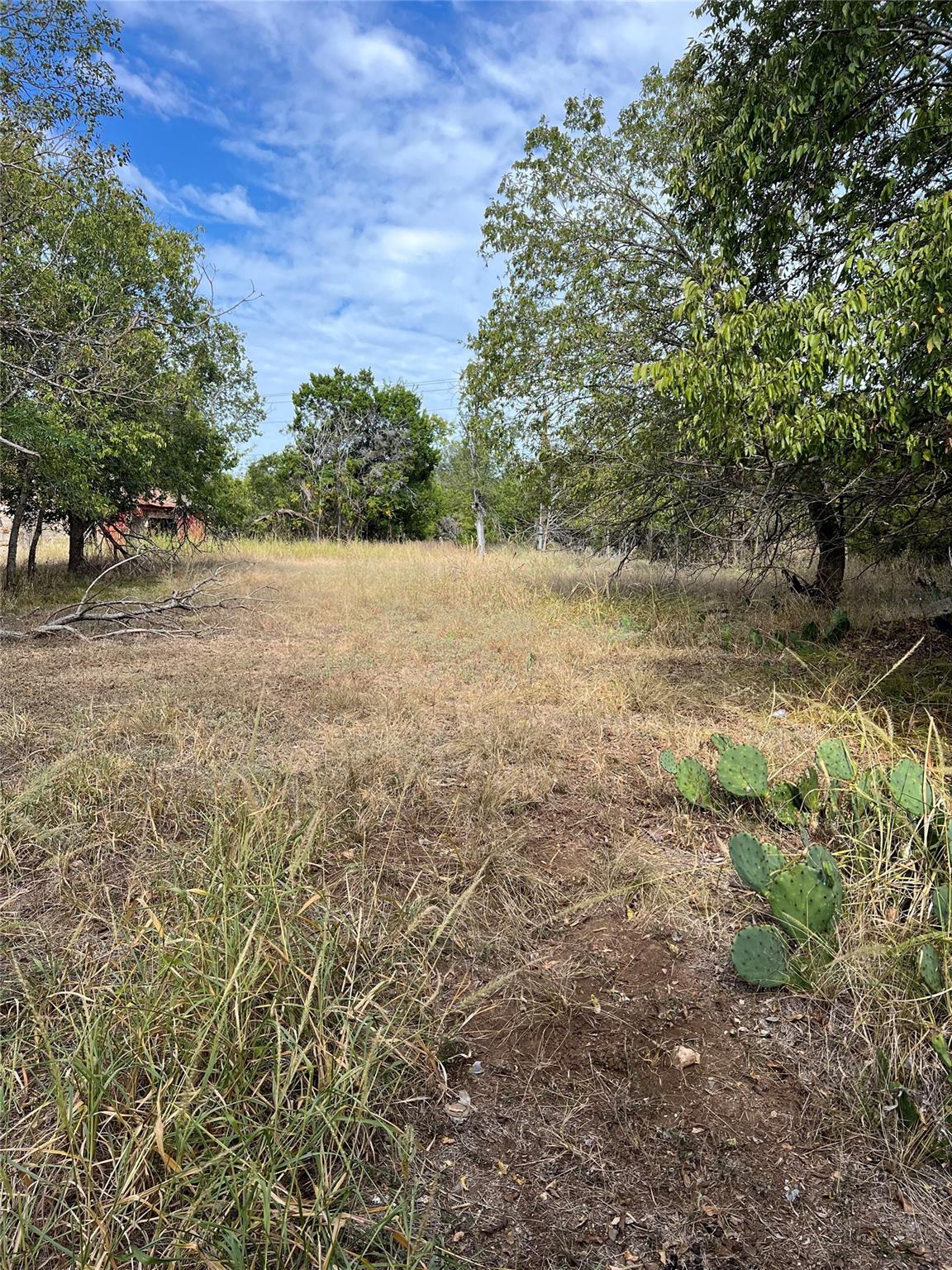 TBD County Road 202, Liberty Hill, TX 78642