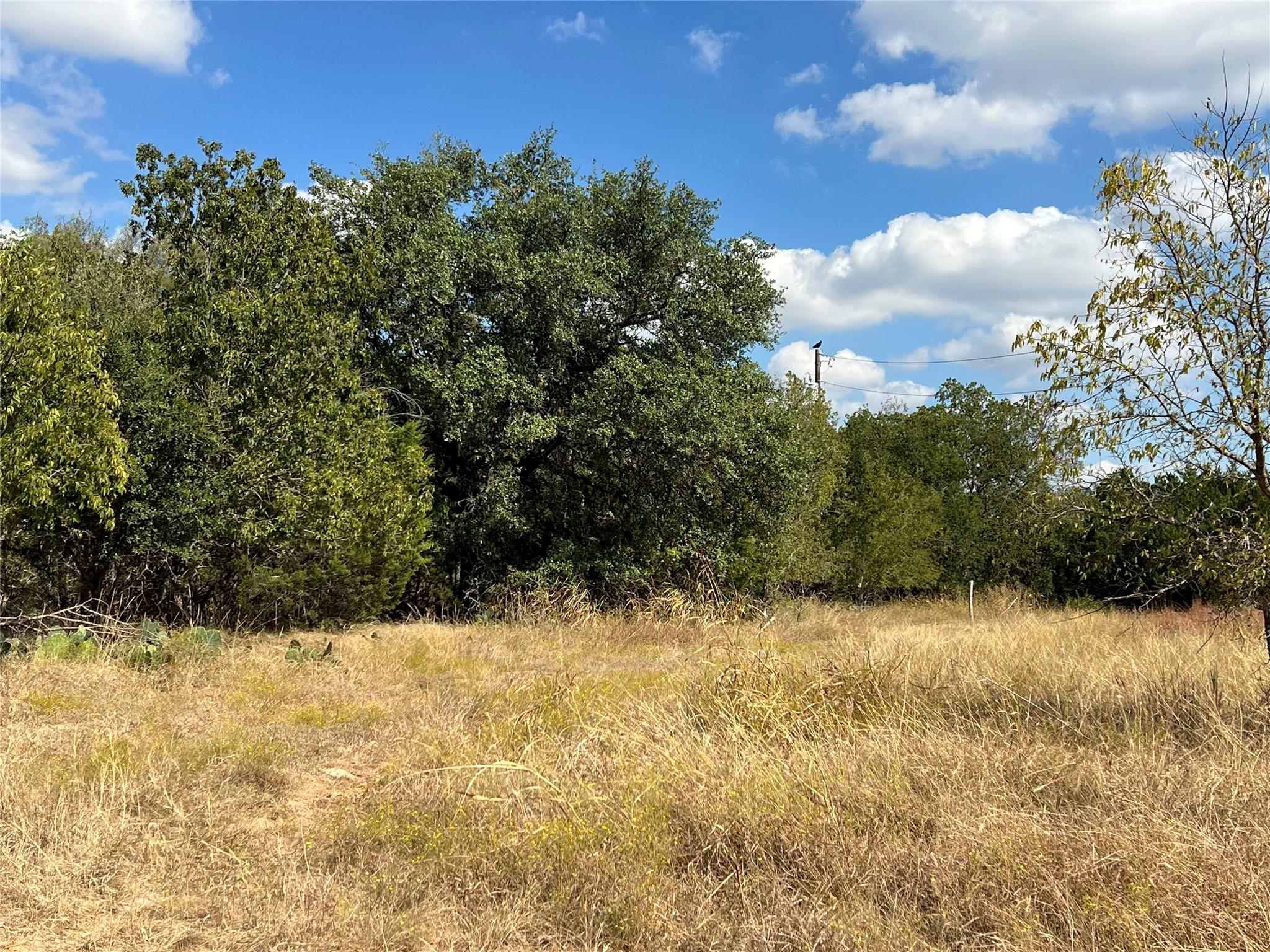 TBD County Road 202, Liberty Hill, TX 78642