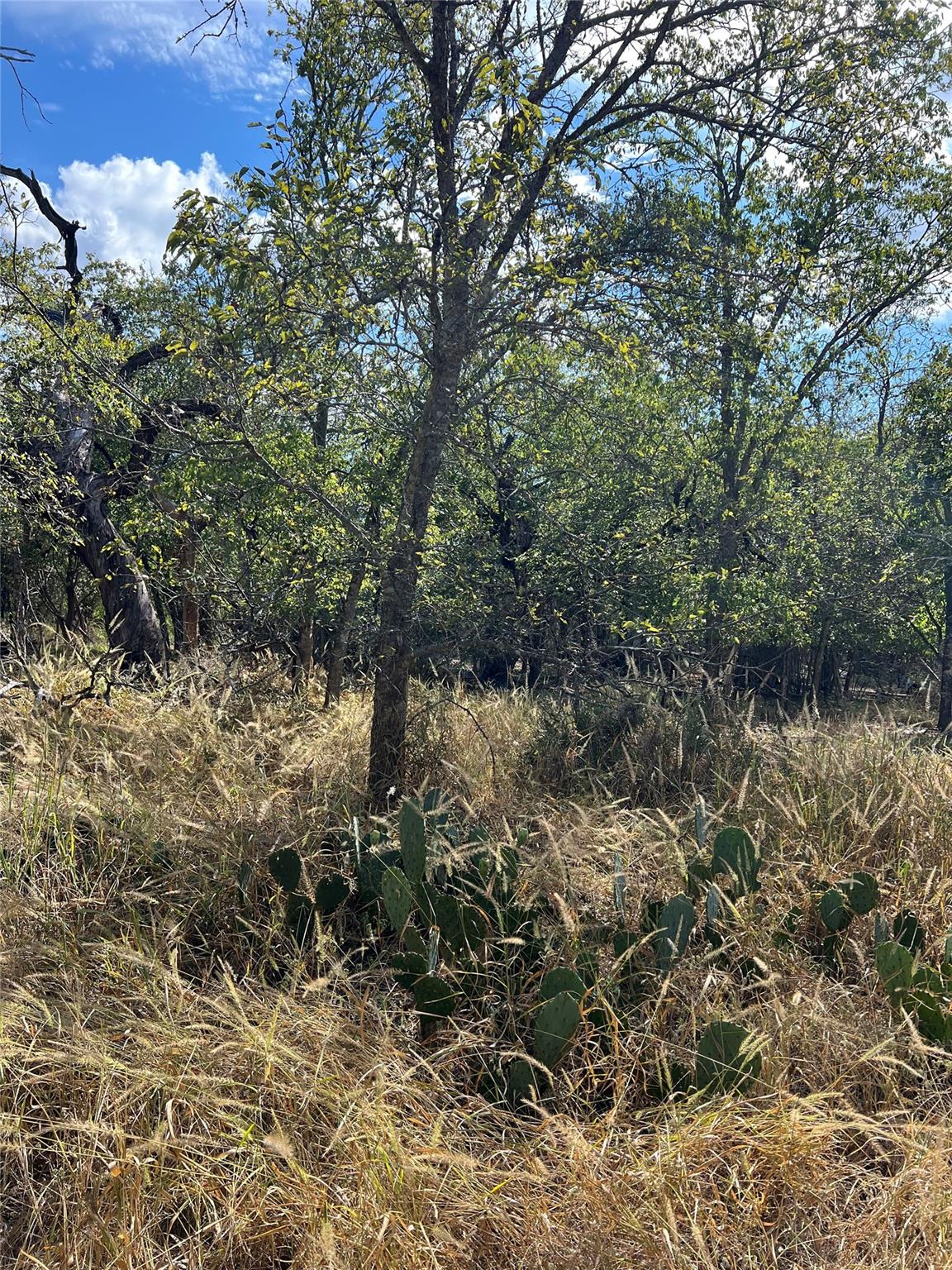 TBD County Road 202, Liberty Hill, TX 78642