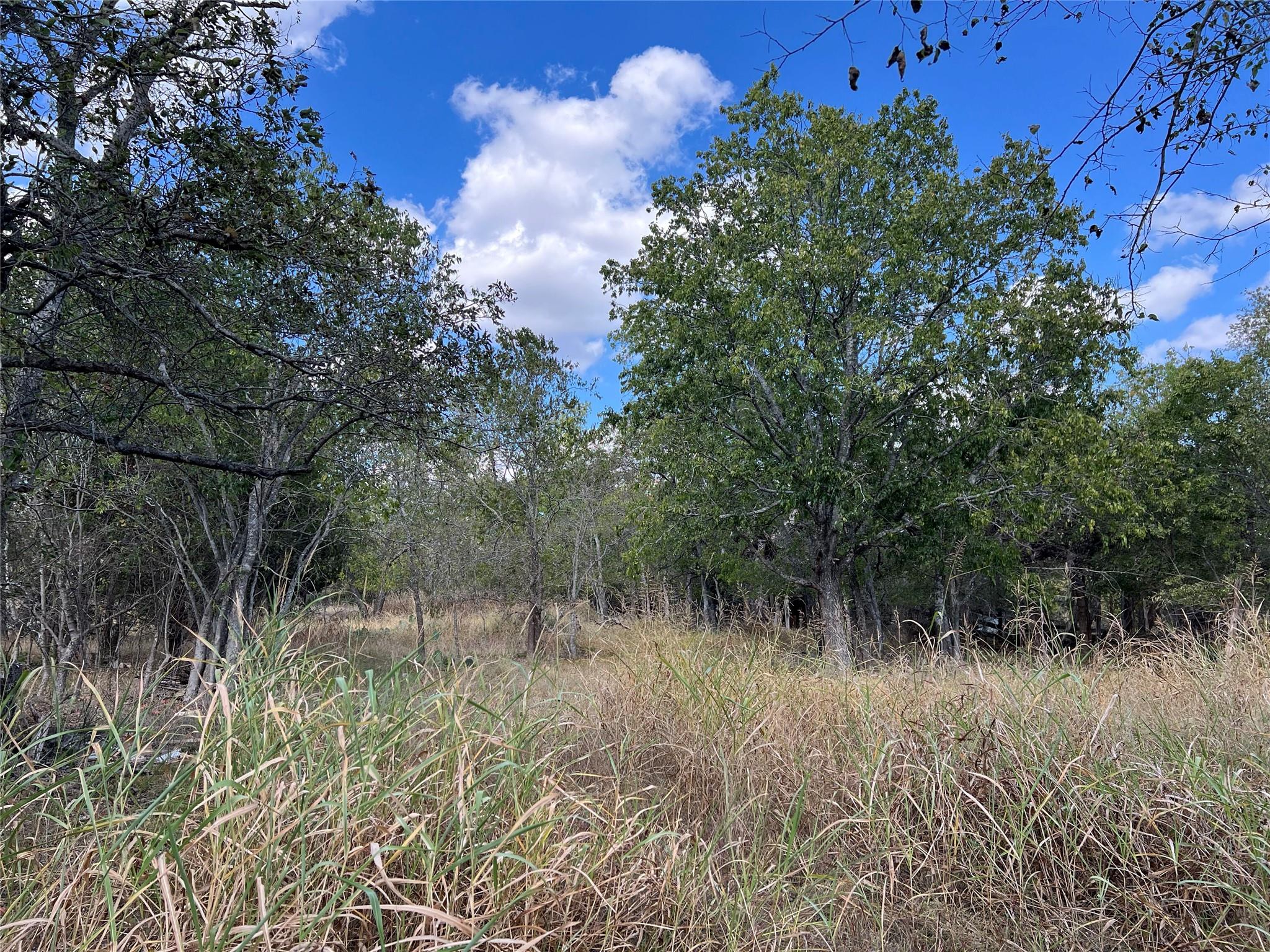 TBD County Road 202, Liberty Hill, TX 78642