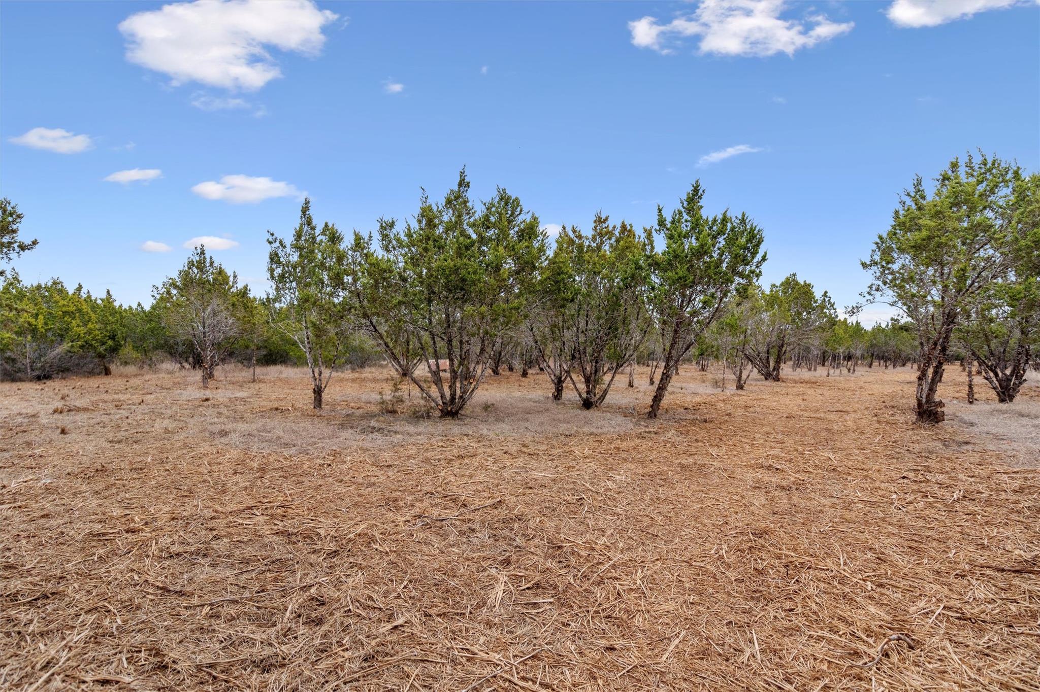 TBD County Road 202, Liberty Hill, TX 78642