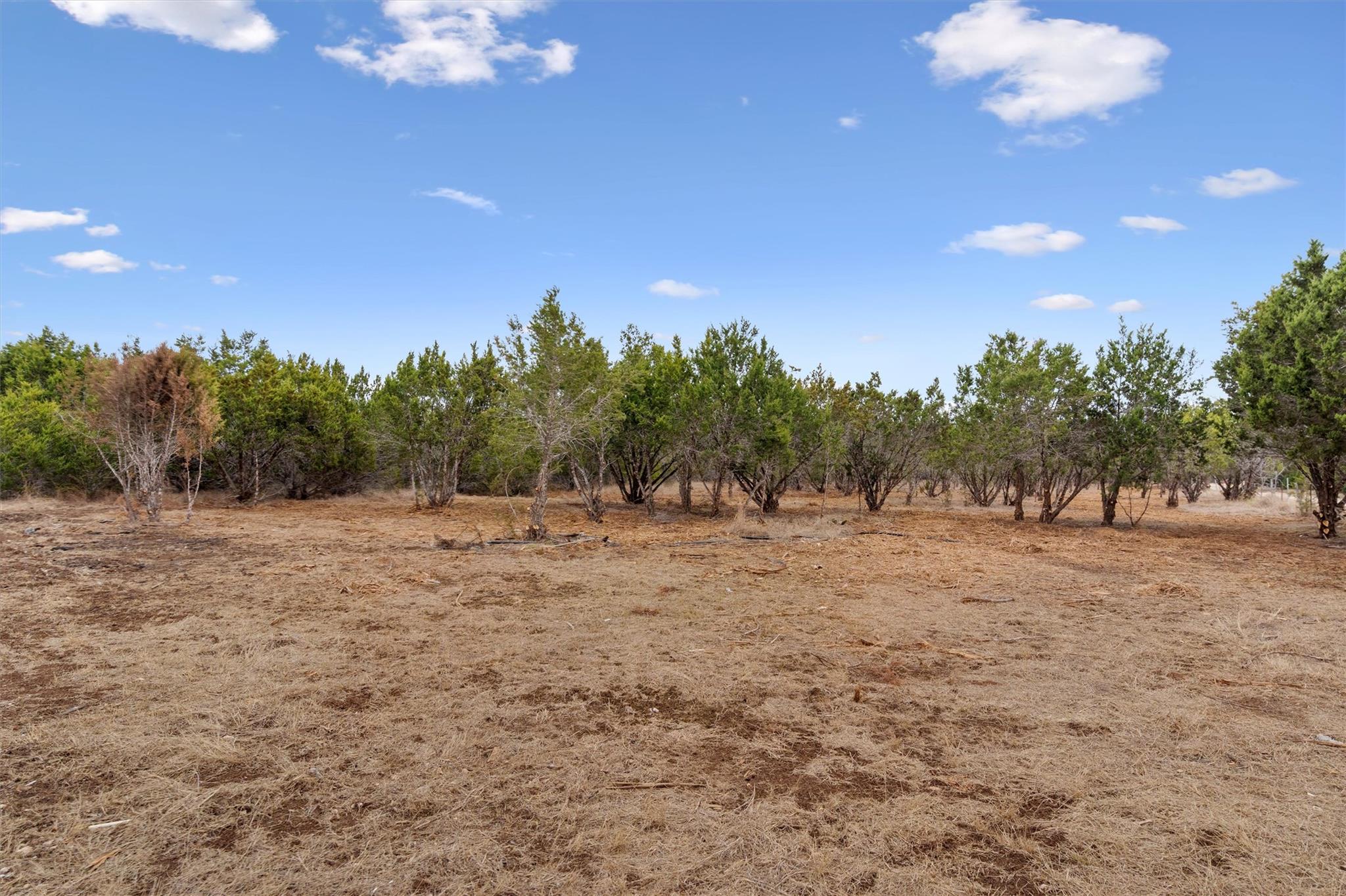 TBD County Road 202, Liberty Hill, TX 78642